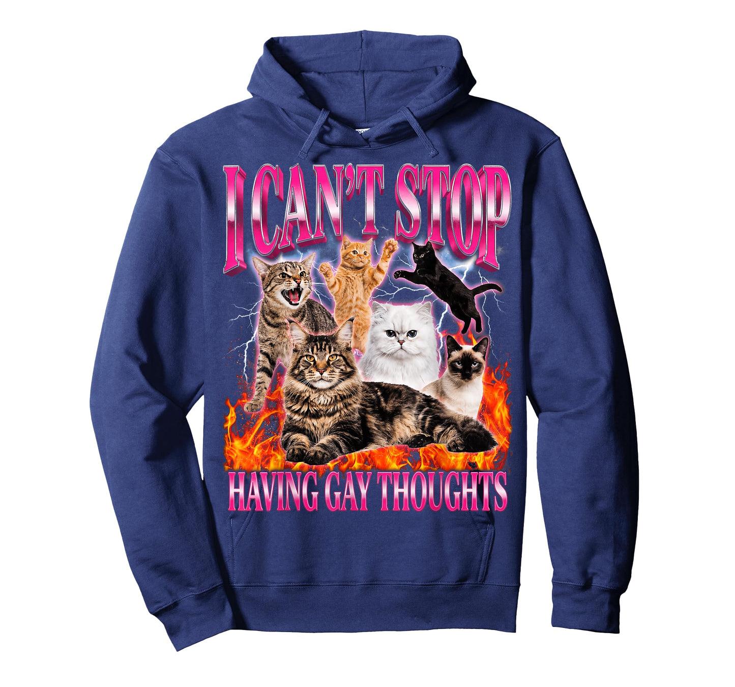 Funny Cat I Can't Stop Having Gay Thoughts LGBTQ Pride T-Shirt