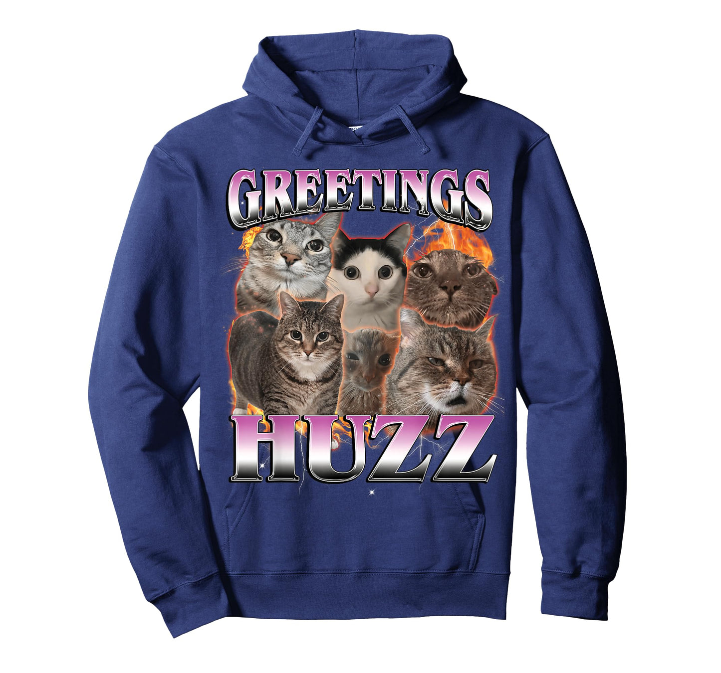 Greetings Huzz Funny Stupid Dank Cat Meme Bootleg Graphic T-Shirt