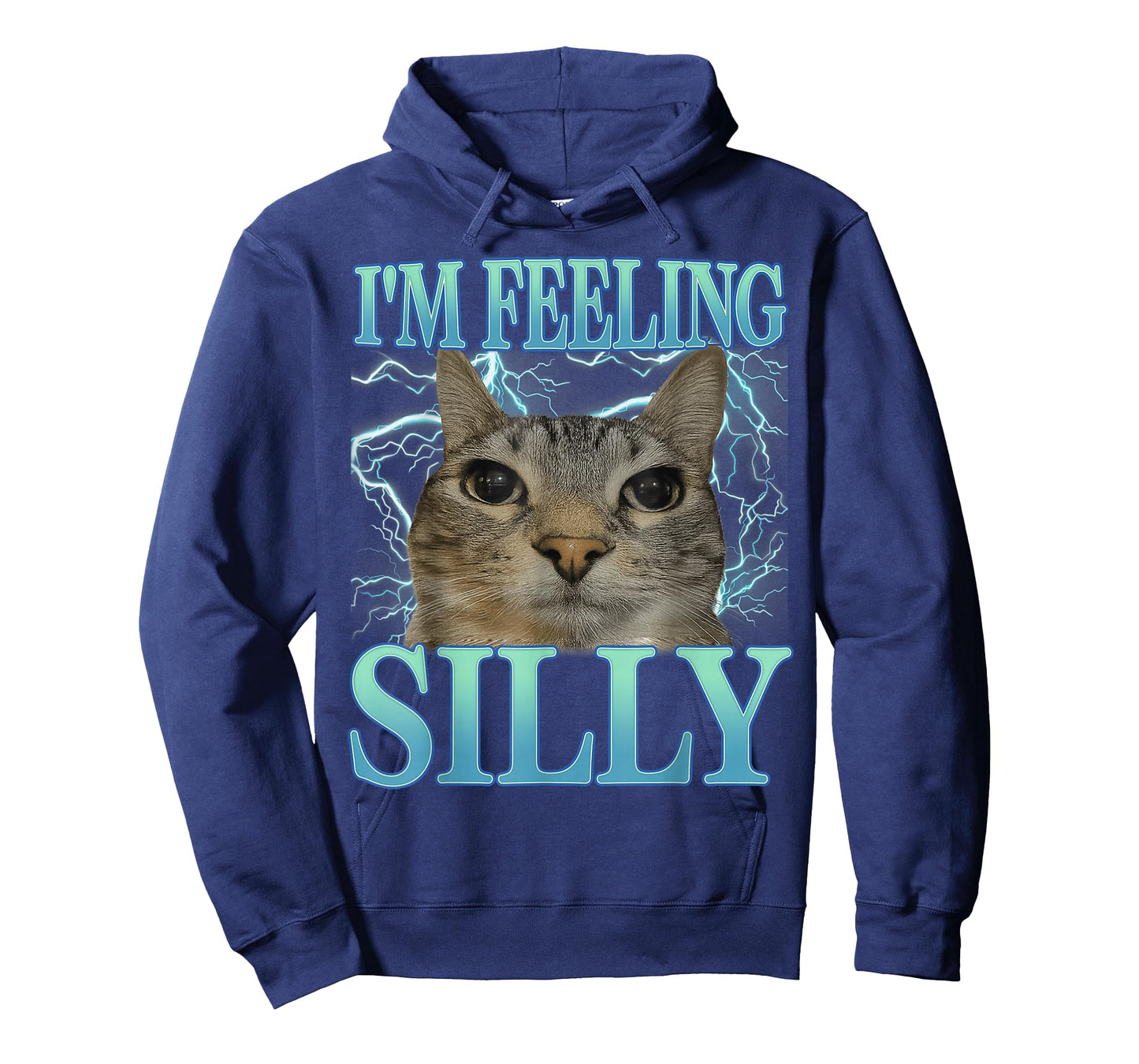 Funny Saying Cat Lover I'm Feeling Silly Cat Meme Humor T-Shirt