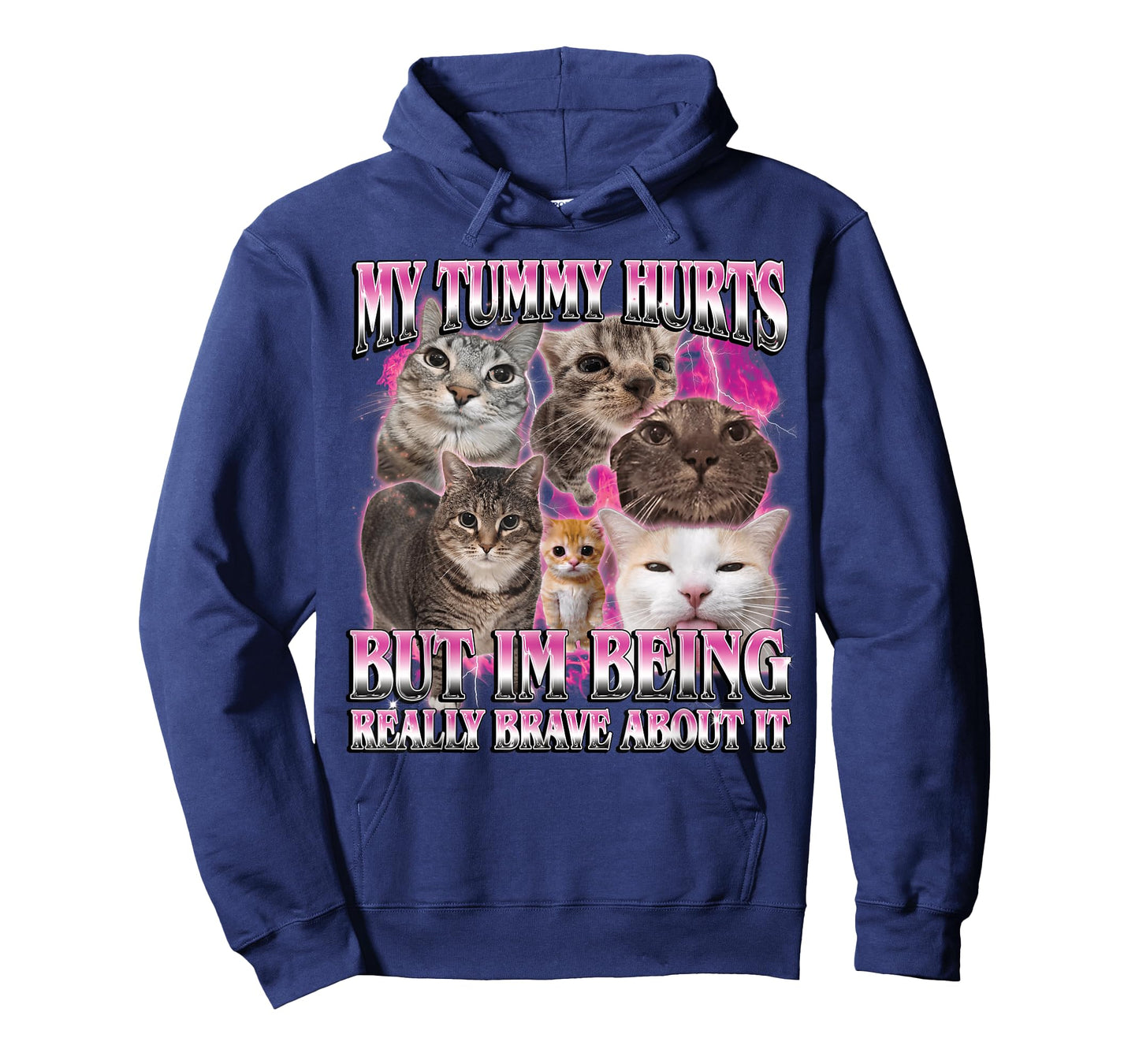 My Tummy Hurts Funny Brainrot Stupid Dank Cat Meme Graphic T-Shirt