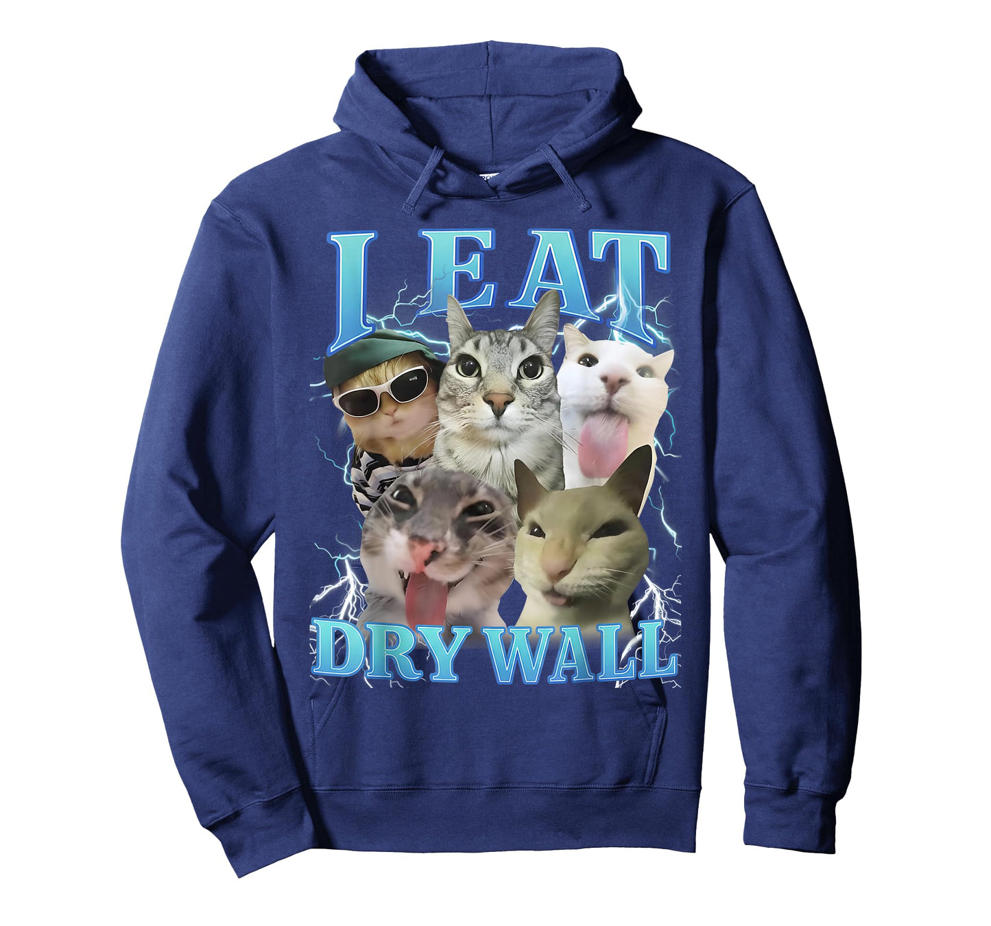 I Eat Dry Wall Funny Cat Meme T-Shirt