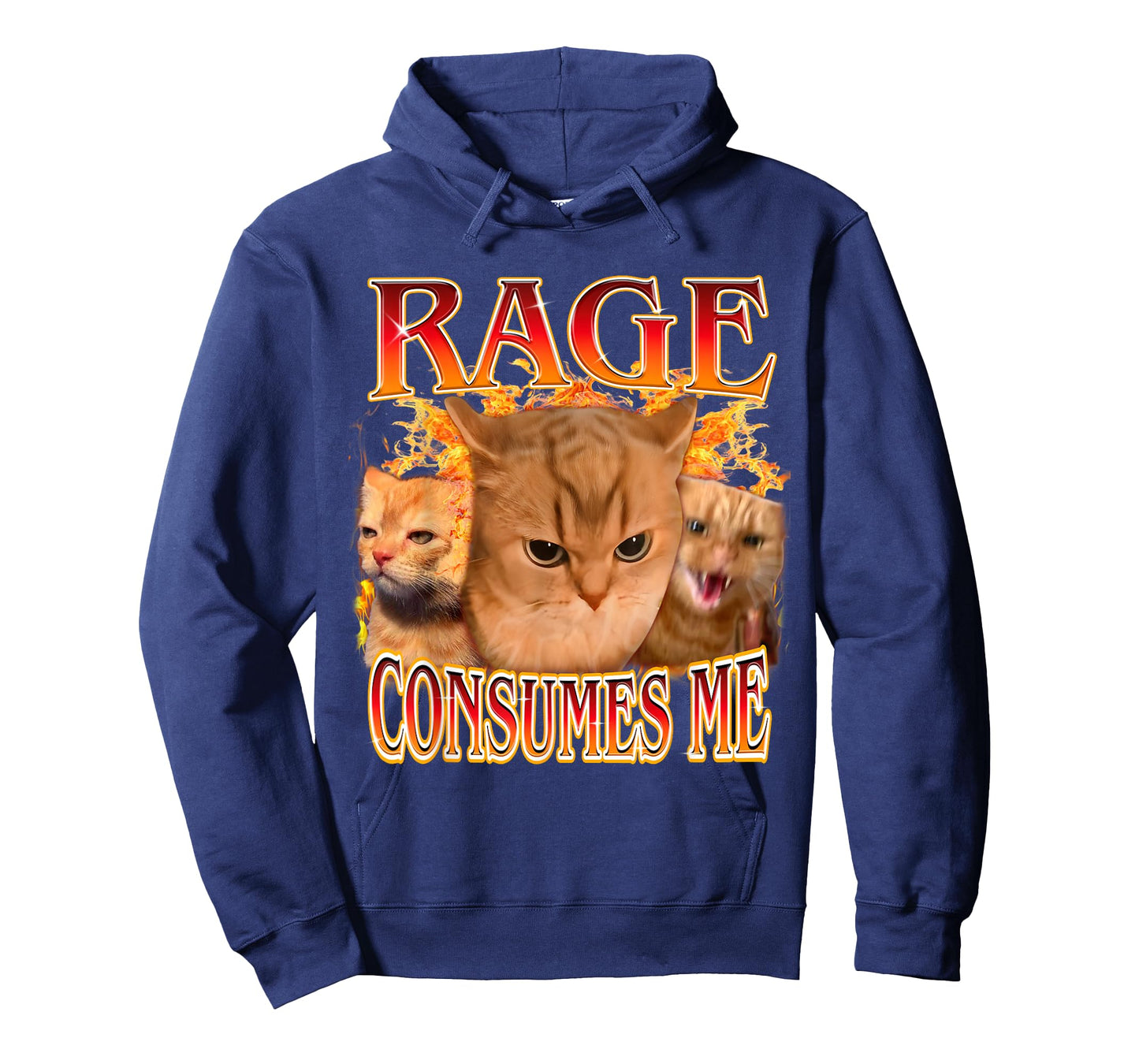 Funny Rage Consumes Me Silly Staring Cat Meme Women Men T-Shirt