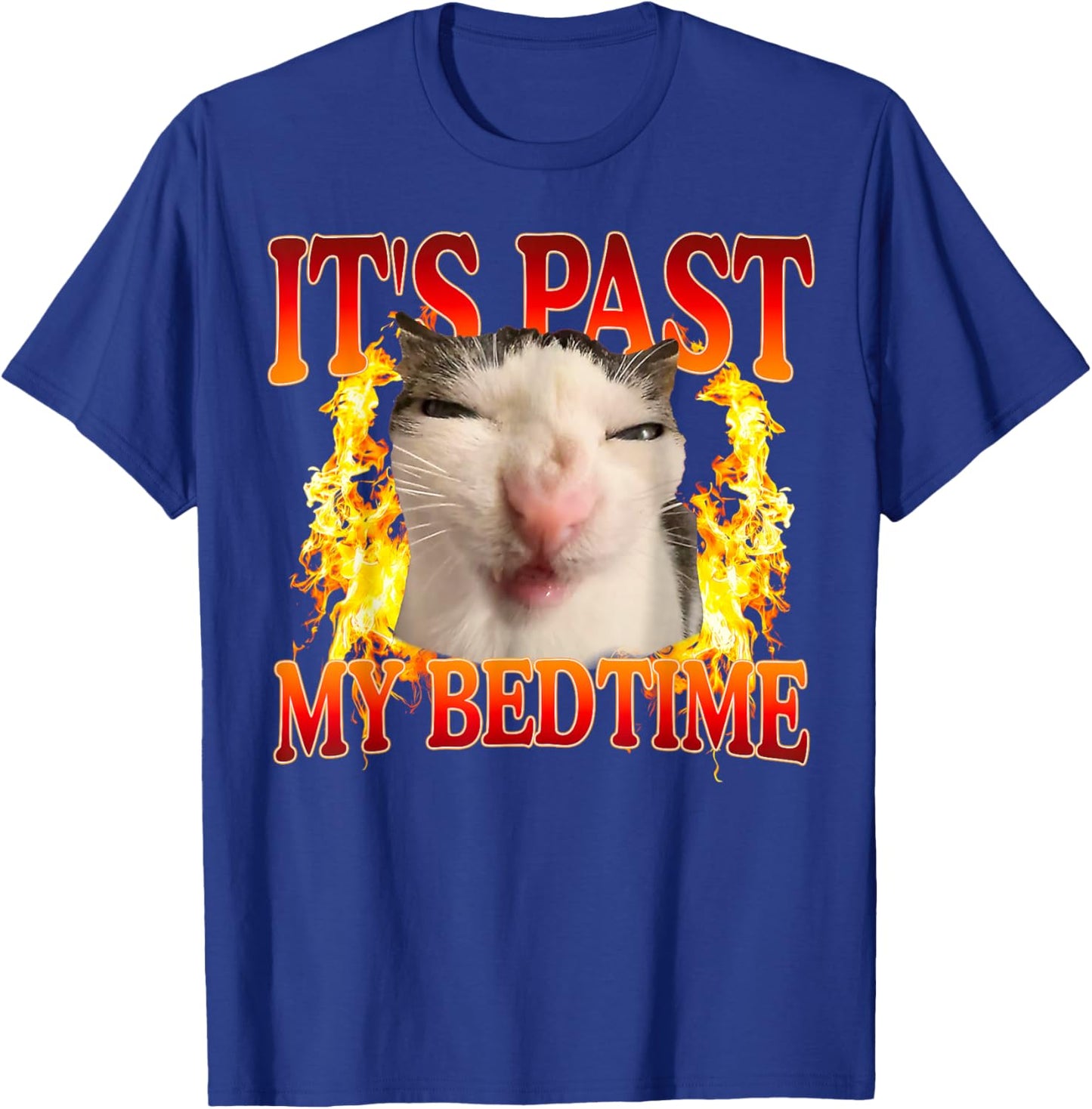 Funny Cat Meme It's Past My Bedtime Humor Men Women T-Shirt - T-Shirt | Royal