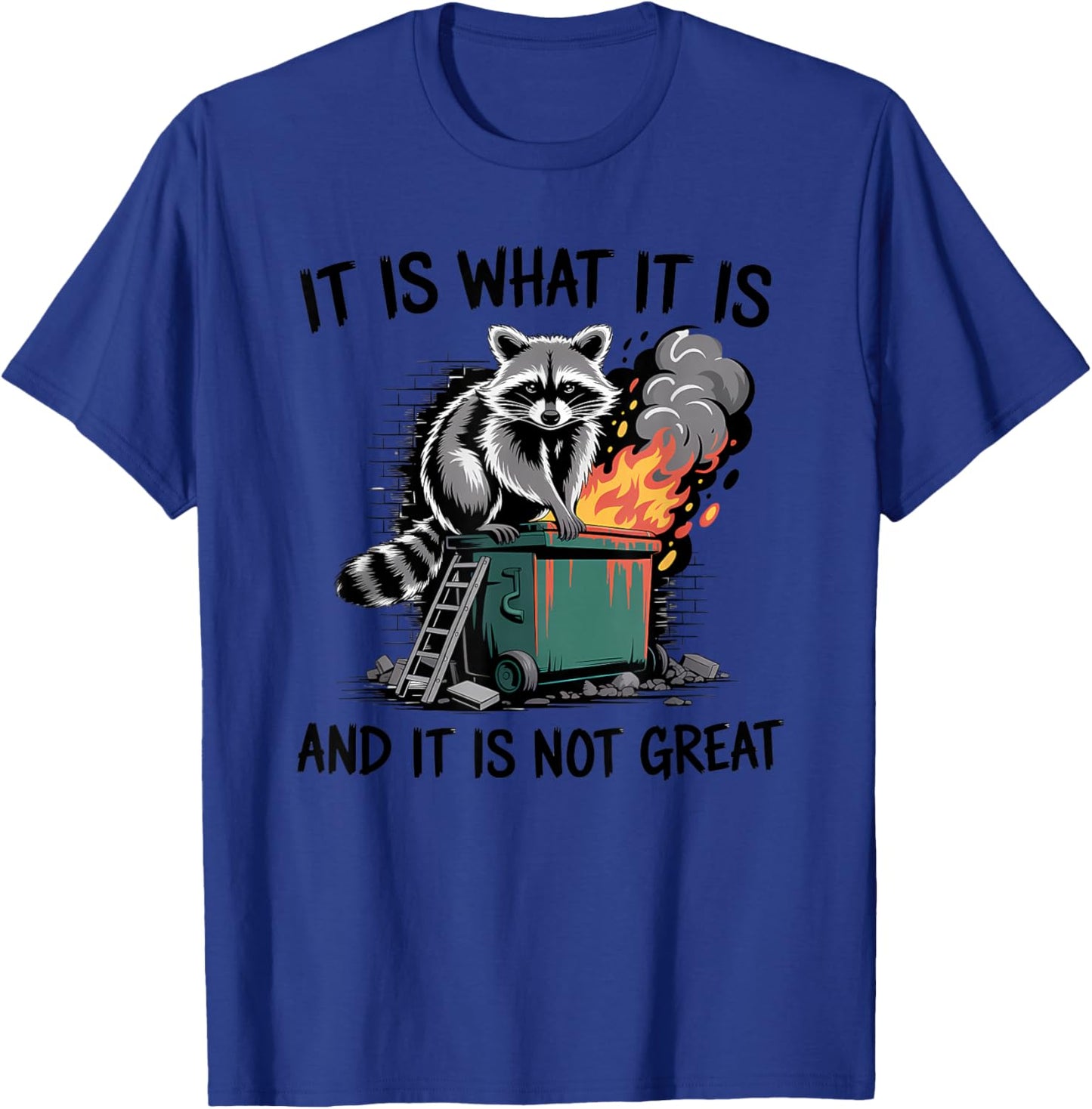 Raccoon It is What It is and It's Not Great Funny Sarcastic T-Shirt - T-Shirt | Royal
