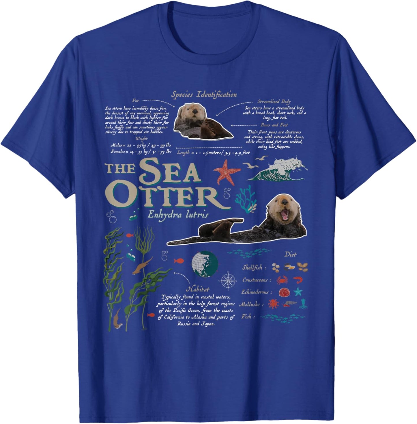 Sea Otter Marine Biology Nature Lover Outdoor T-Shirt - T-Shirt | Royal