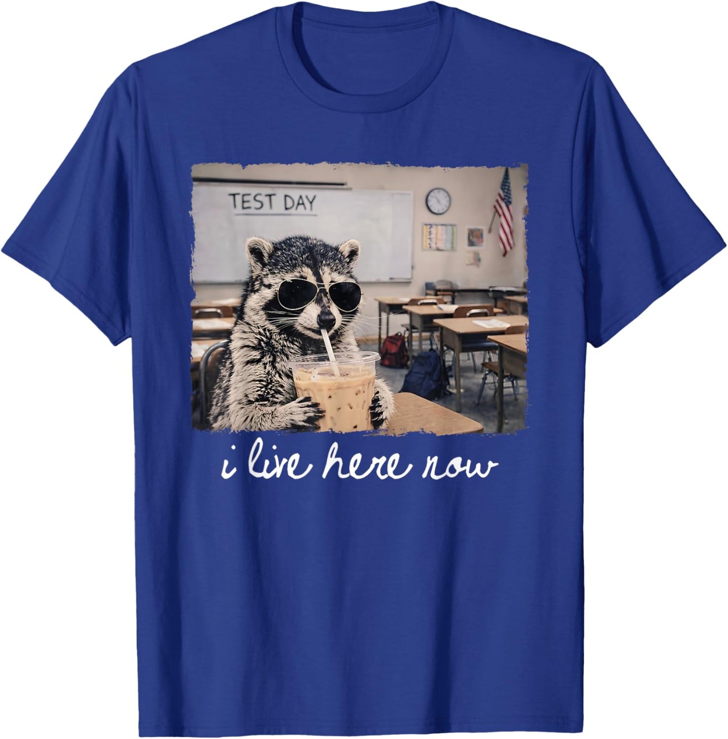 I Live Here Now Funny Raccoon It's Test Day T-Shirt - T-Shirt | Royal