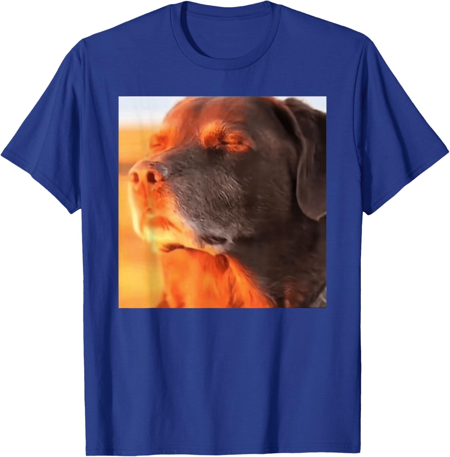 Dog in The Sunset Meme T-Shirt - T-Shirt | Royal