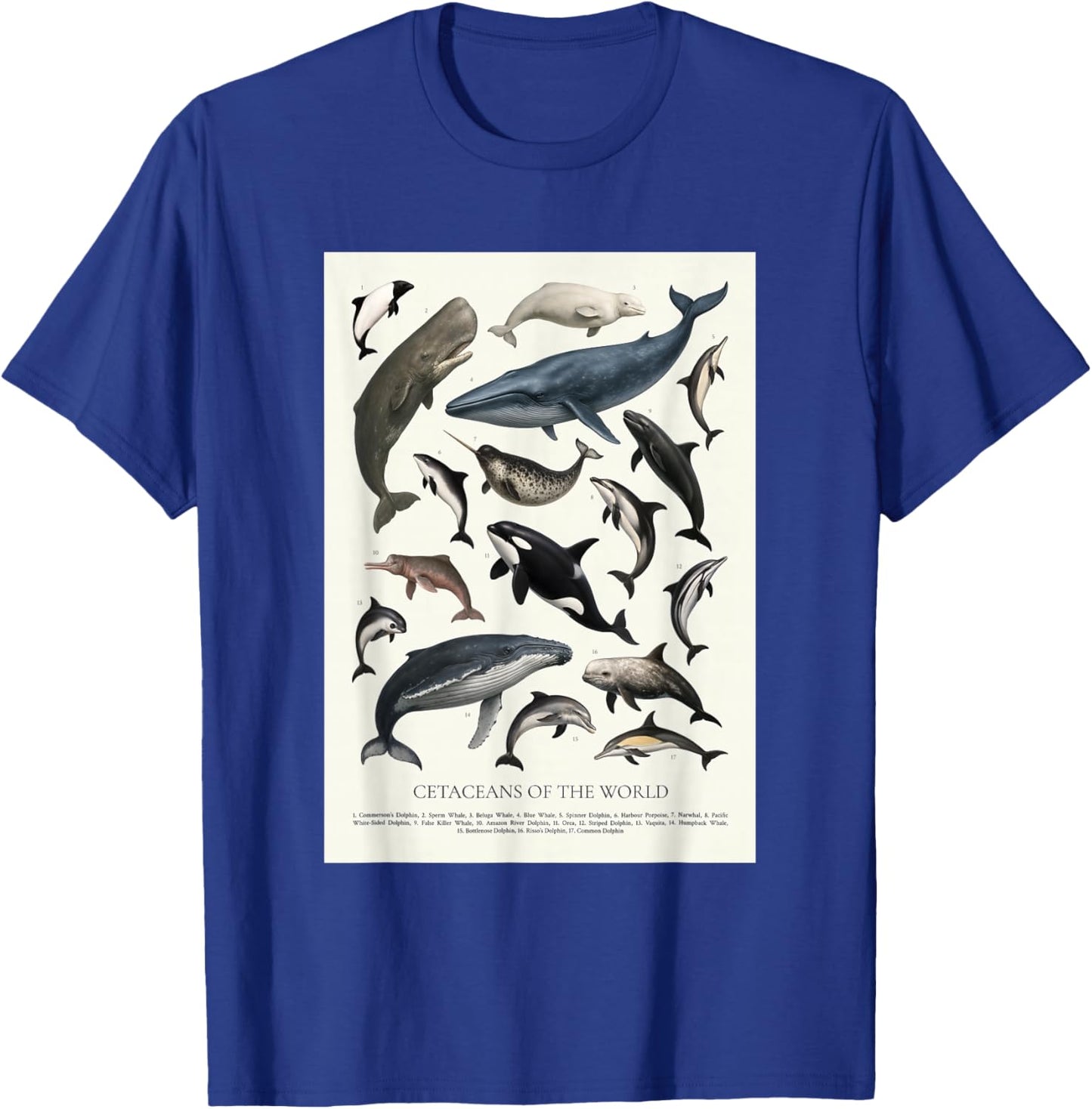 Cetaceans of The World Retro Style Identification T-Shirt - T-Shirt | Royal