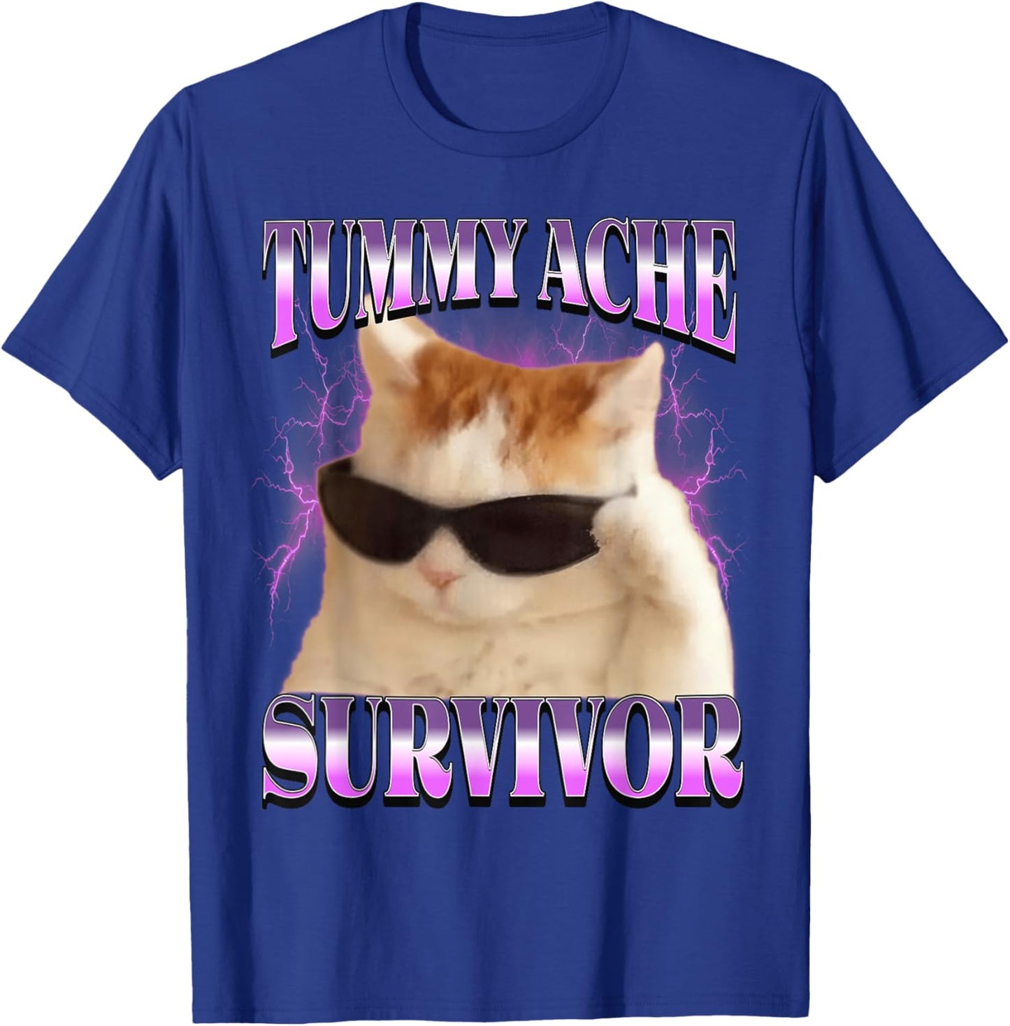 I Survived Today's Tummy Ache Cat Meme Funny Cats T-Shirt - T-Shirt | Royal