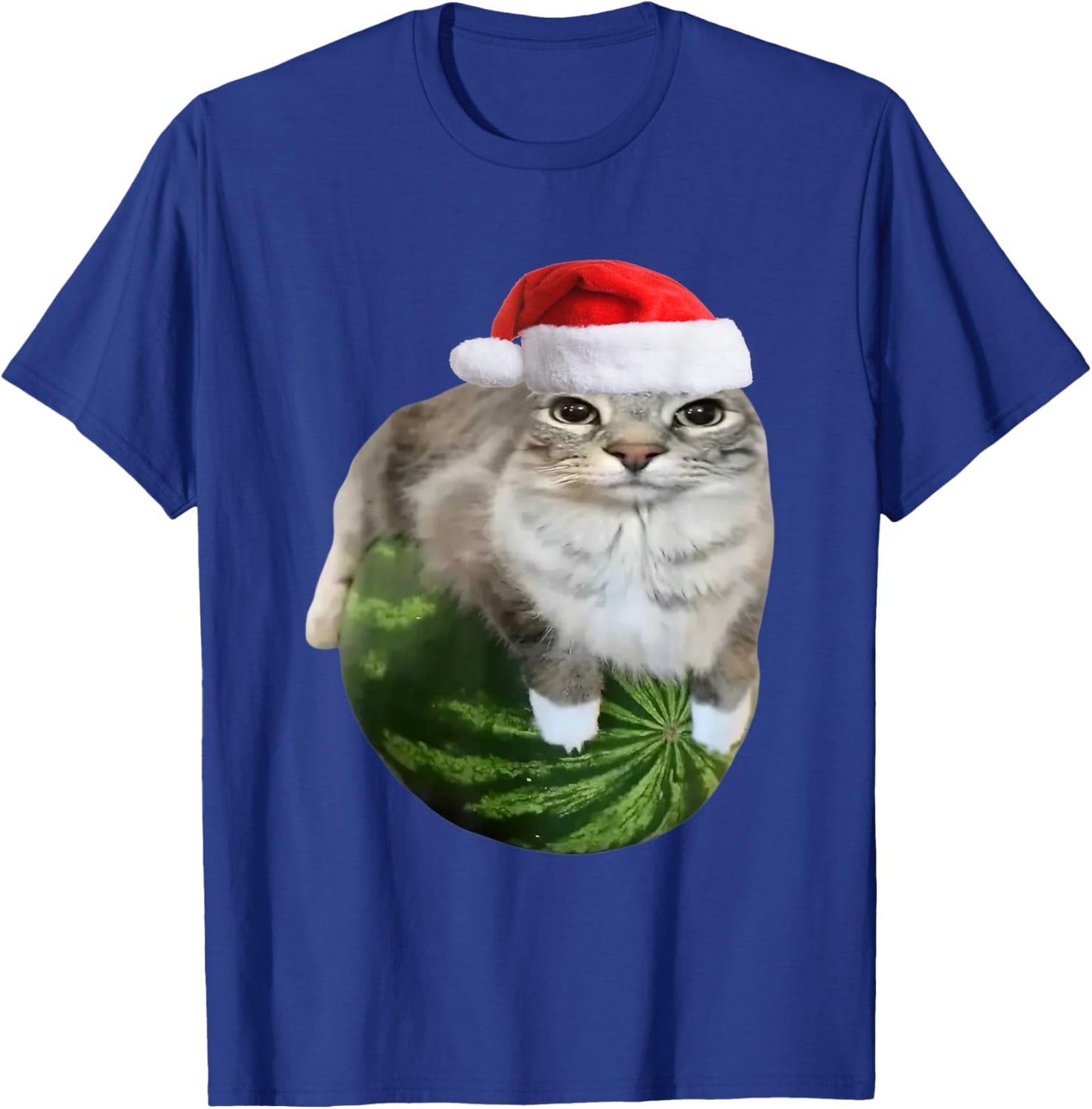 Watermelon Cat Christmas Santa Hat Funny Meme T-Shirt - T-Shirt | Royal