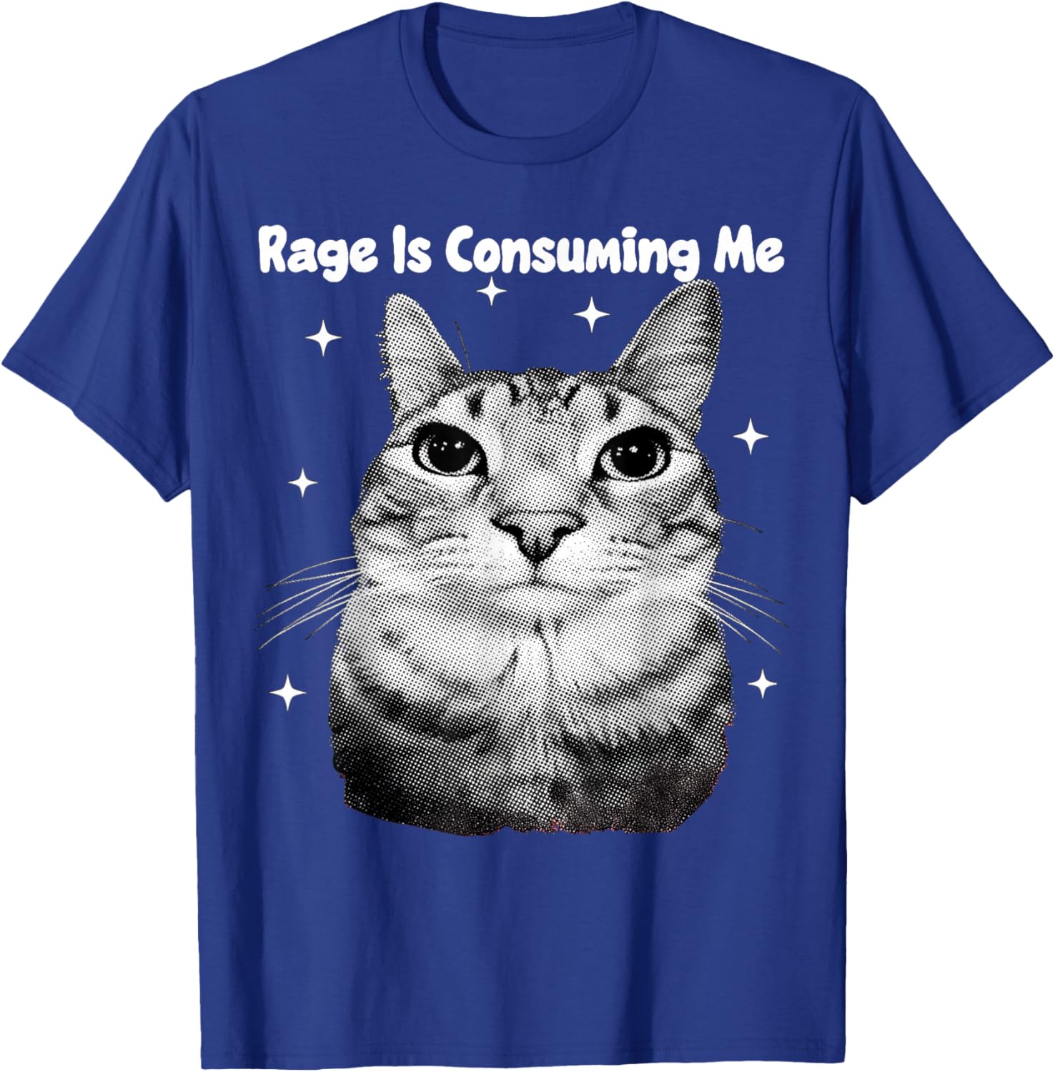 Y2K Cat Rage is Consuming Me Silly Staring Cat Meme Silly T-Shirt - T-Shirt | Royal