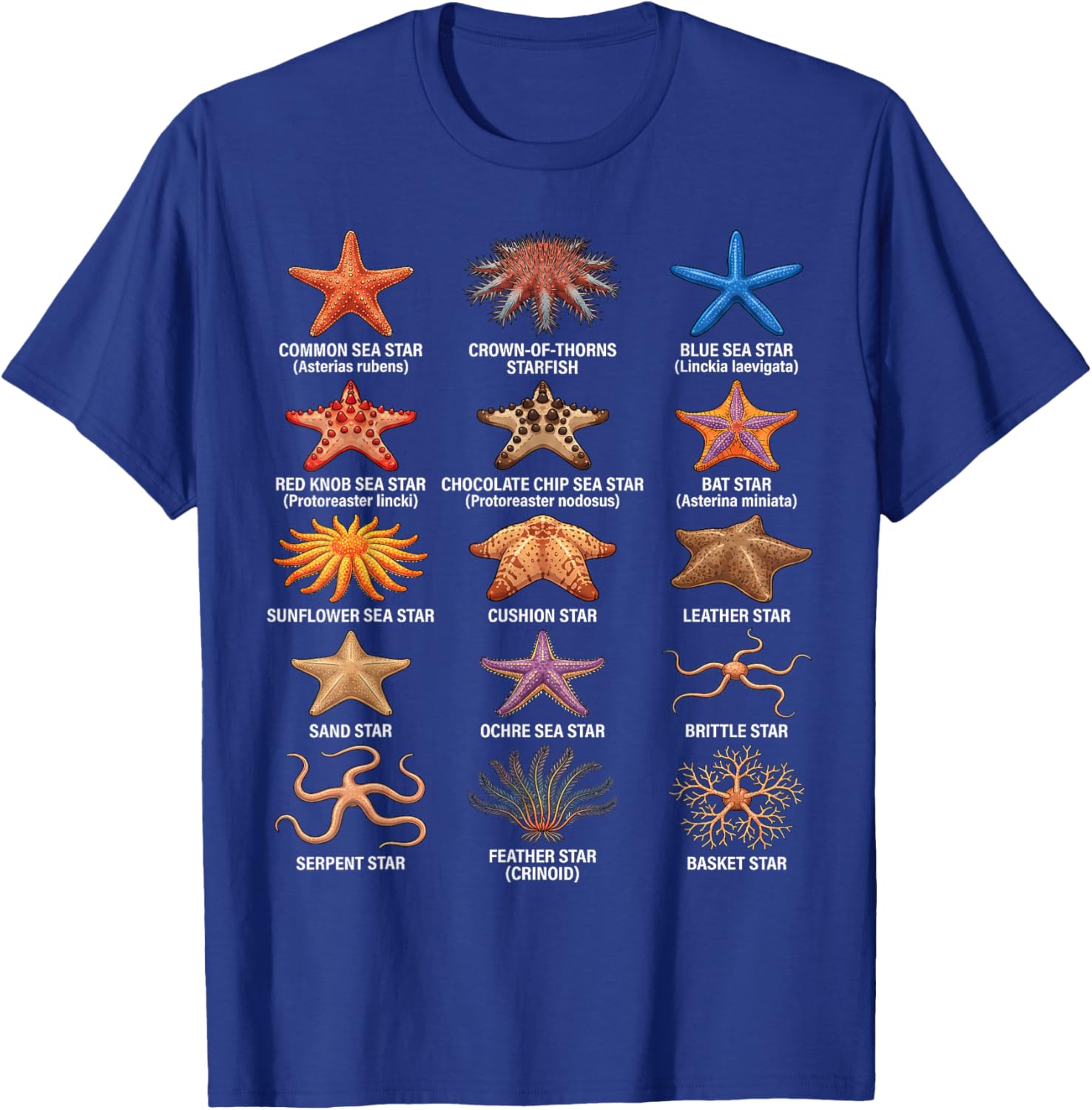Types of Sea Stars, Sea Star Species Chart, Starfish Types T-Shirt - T-Shirt | Royal
