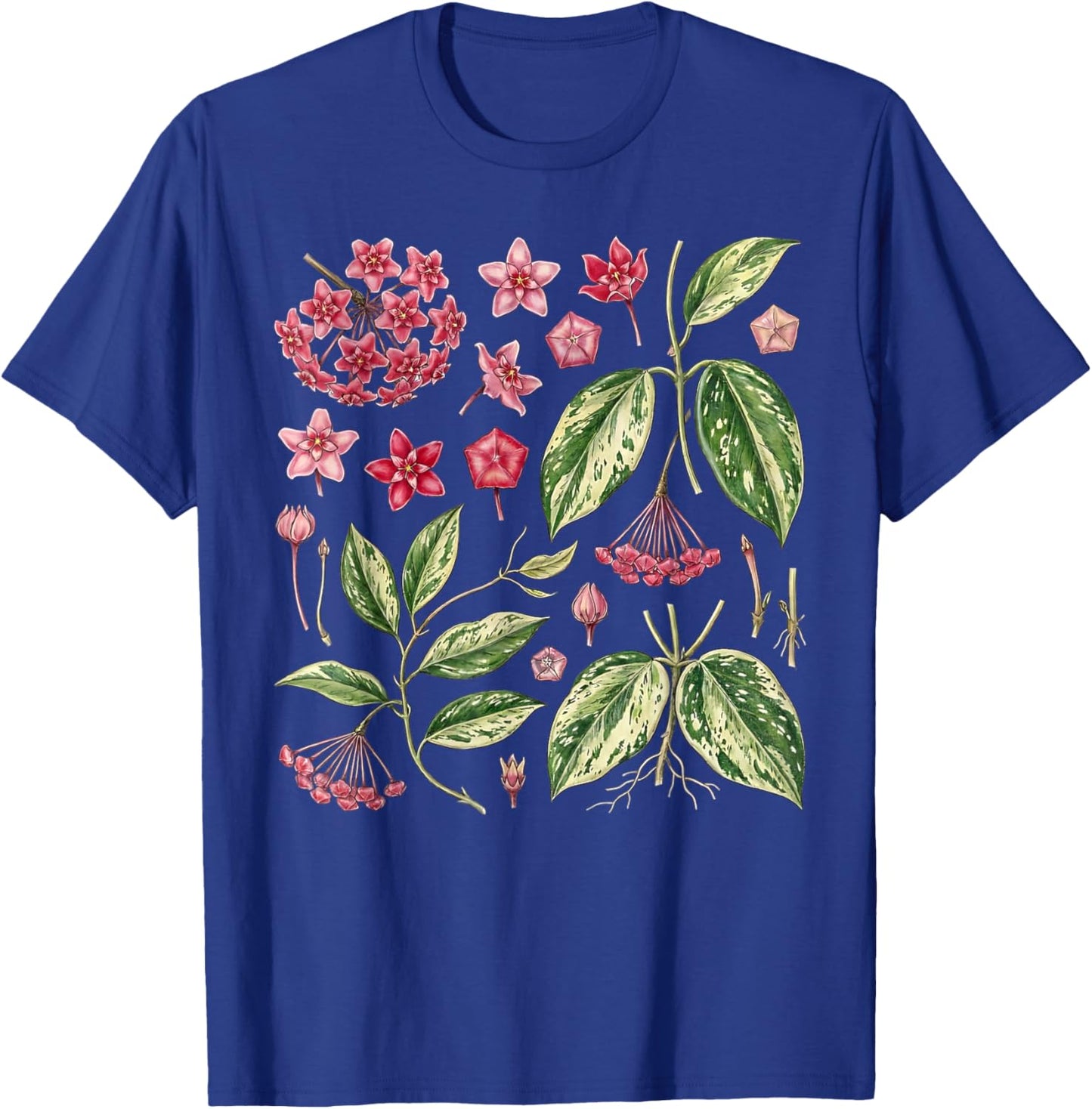 Botanical Hoya Carnosa Flower Anatomy Houseplant Plant Lover T-Shirt - T-Shirt | Royal
