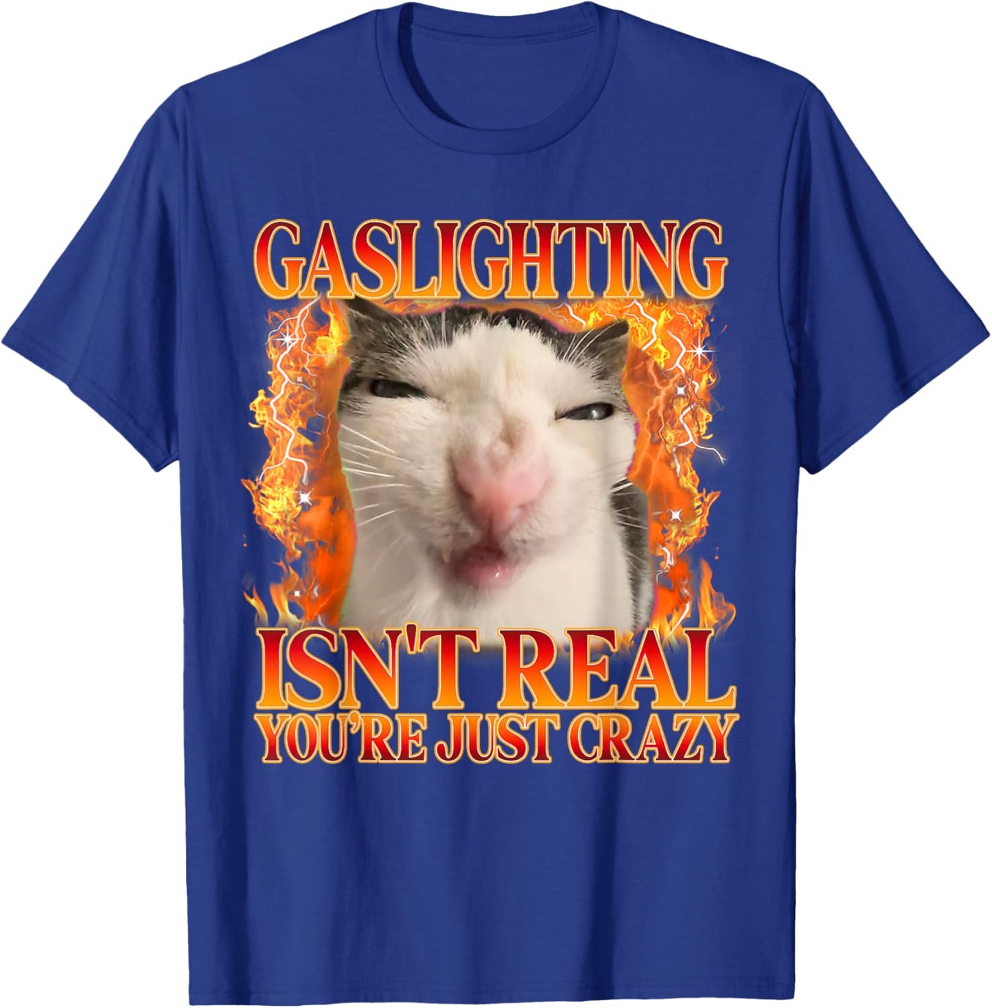 Funny Cat Meme Gaslighting Isn't Real You're Just Crazy T-Shirt - T-Shirt | Royal