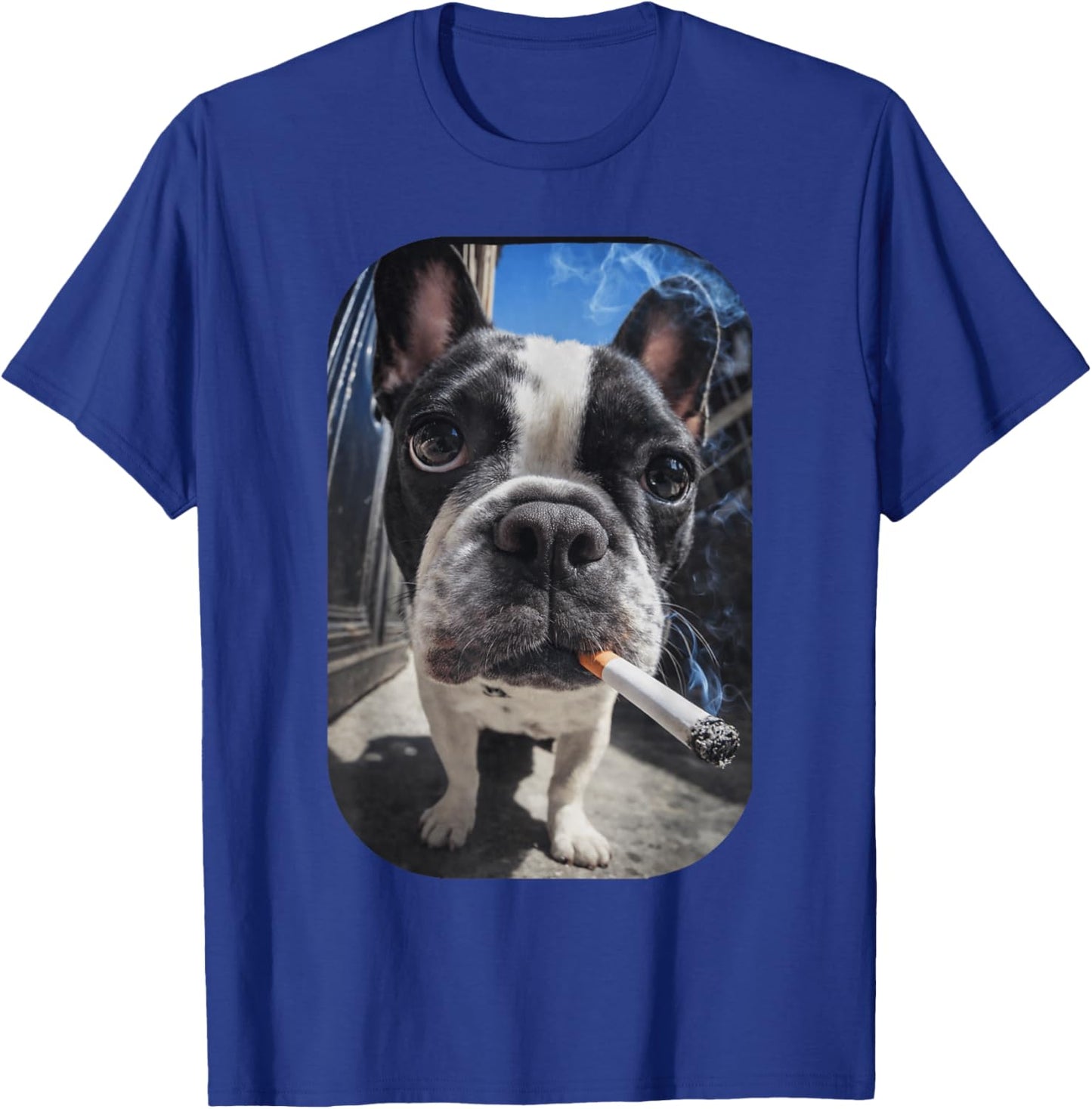 Funny Smoking Boston Terrier Dog Meme Gen Z Cigarette T-Shirt - T-Shirt | Royal