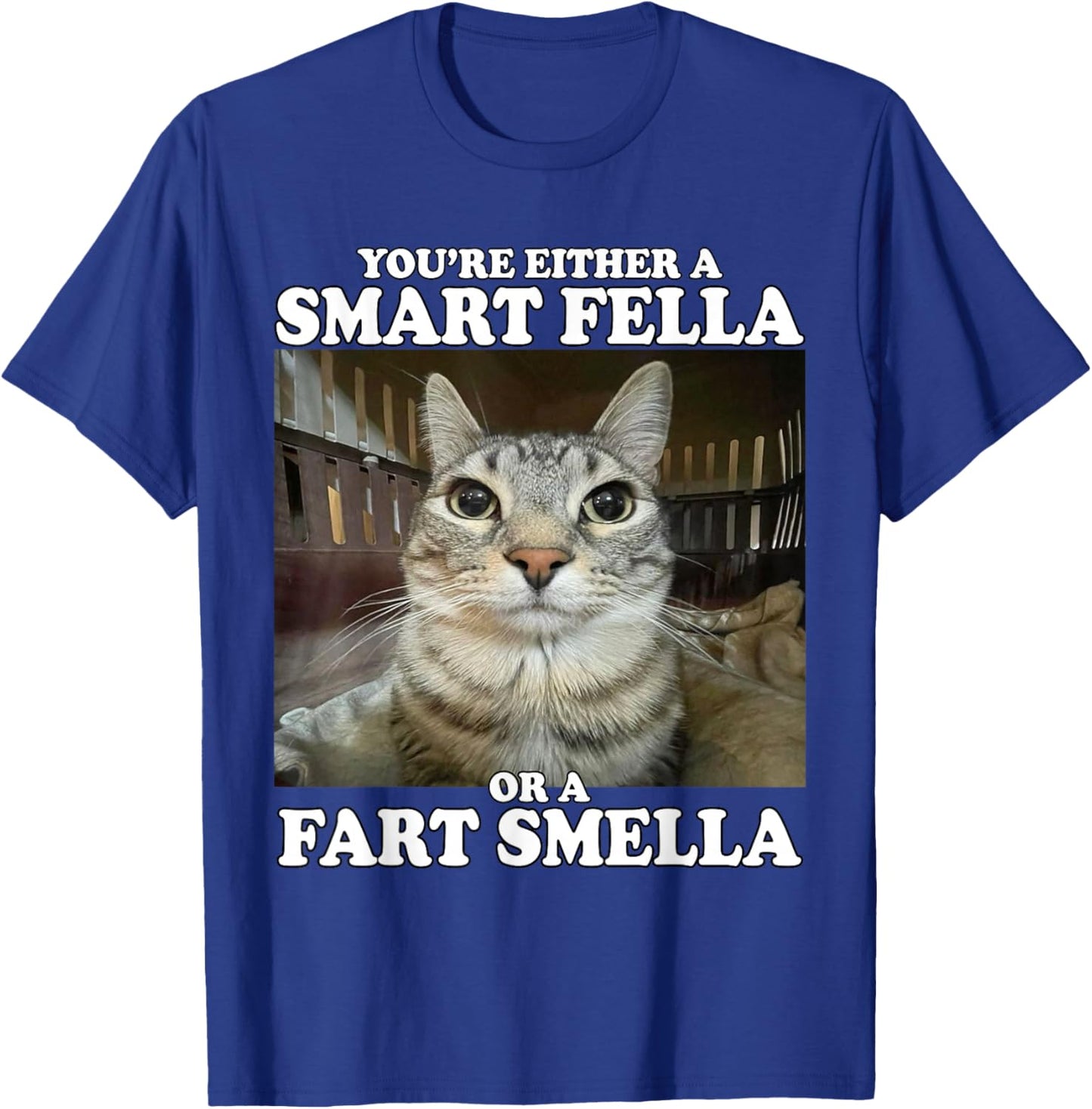 You're Either A Smart Fella Or A Fart Smella Funny Cat Meme T-Shirt - T-Shirt | Royal