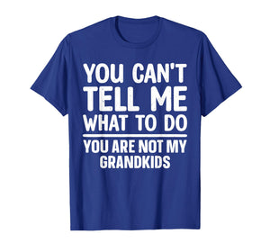 Grandpa Art for Grandfather Papa Papi from Grandkids Grandpa T-Shirt