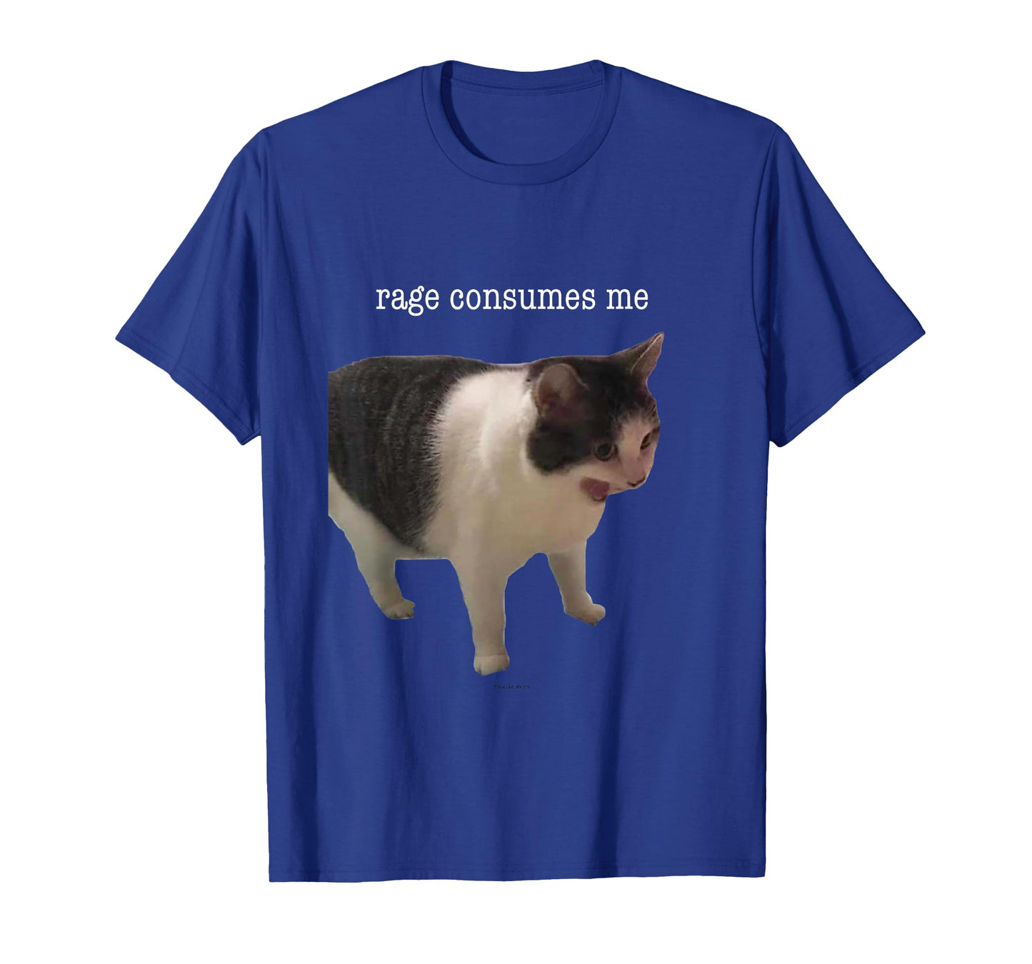 Rage Consumes Me Funny Cat Meme Men Women T-Shirt