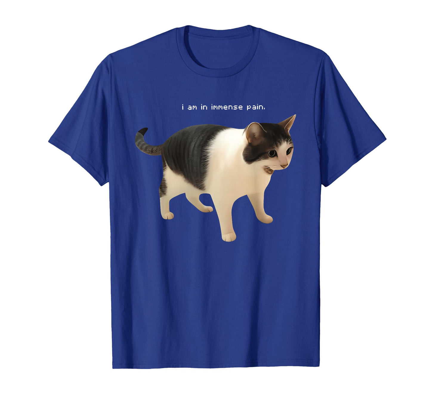 I Am in Immense Pain Funny Cat Meme Quote T-Shirt