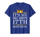 It's My Big Bro's 17th Birthday Happy Birthday 17 Years Old T-Shirt