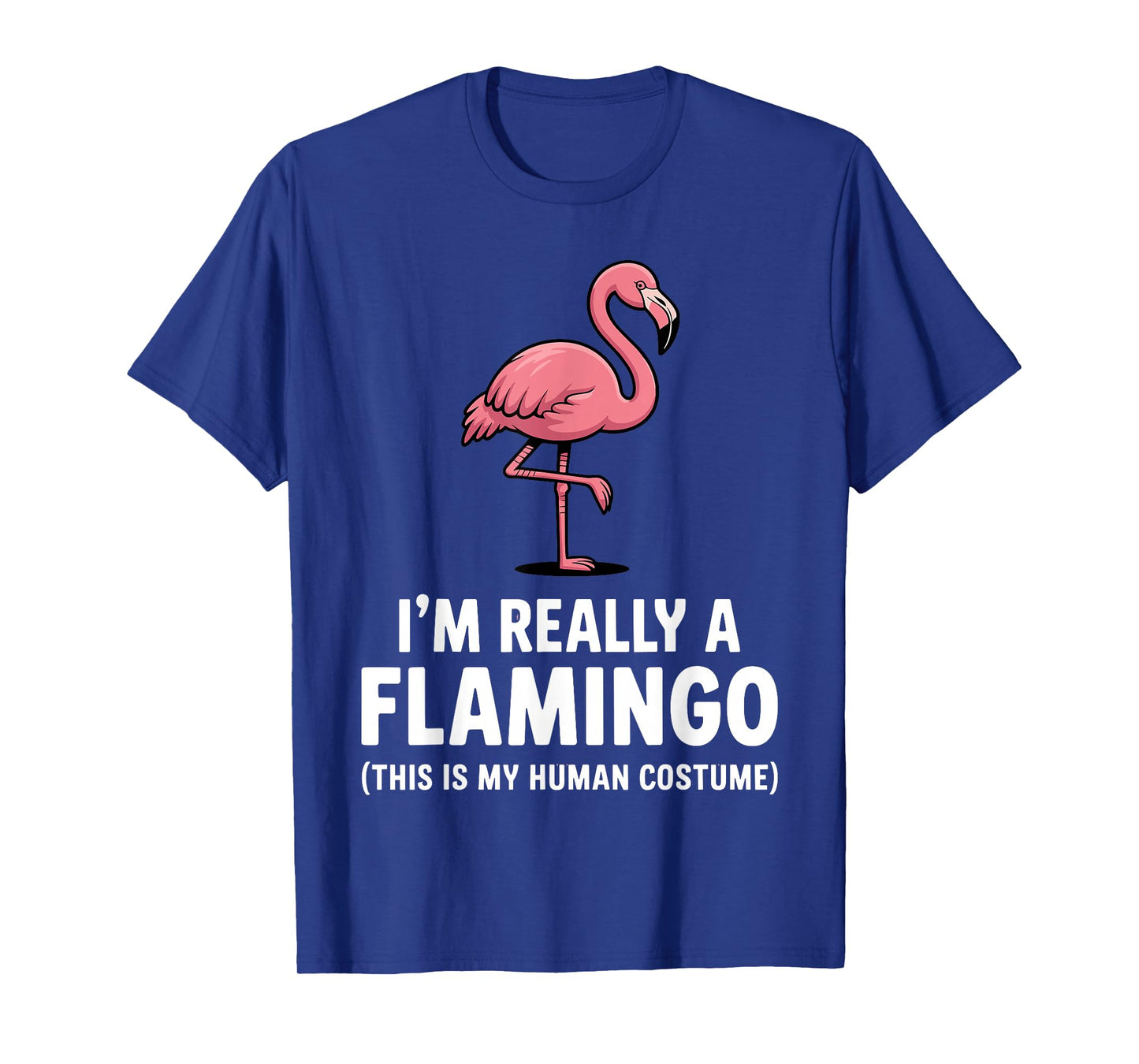 Funny Flamingo Design for Men Women Kids Bird Pink Flamingo T-Shirt
