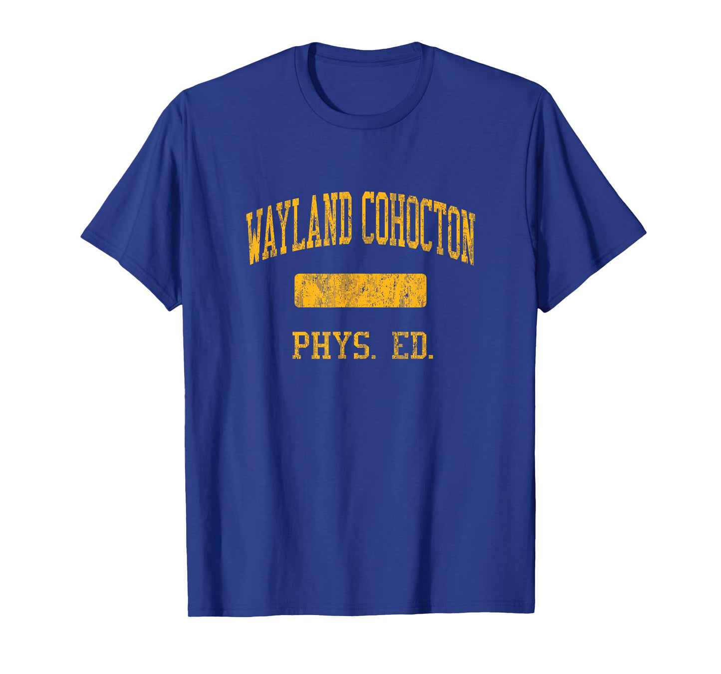 Wayland Cohocton High School HS Wayland NY PHYS Ed T-Shirt