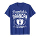 Promoted to Grandpa 2026 Grandpa 2026 Baby Announcement T-Shirt