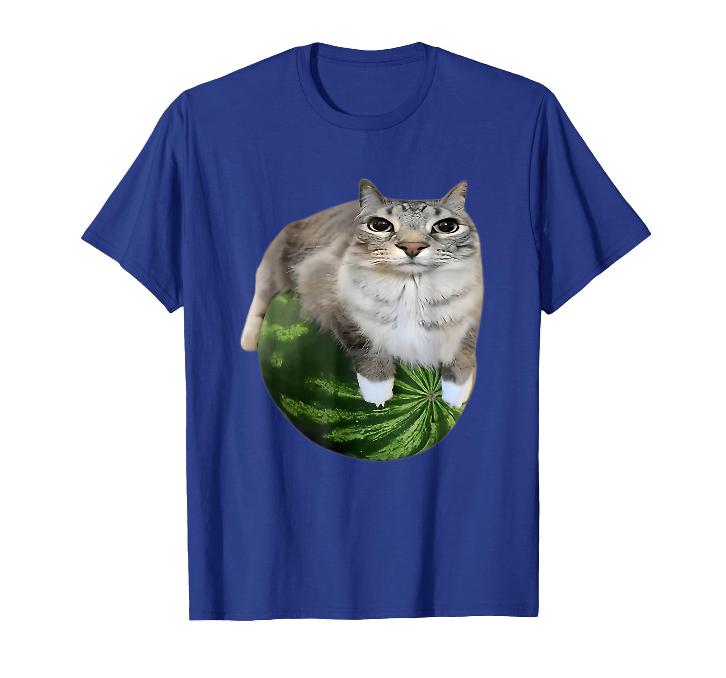 Funny Watermelon Cat Silly Meme T-Shirt