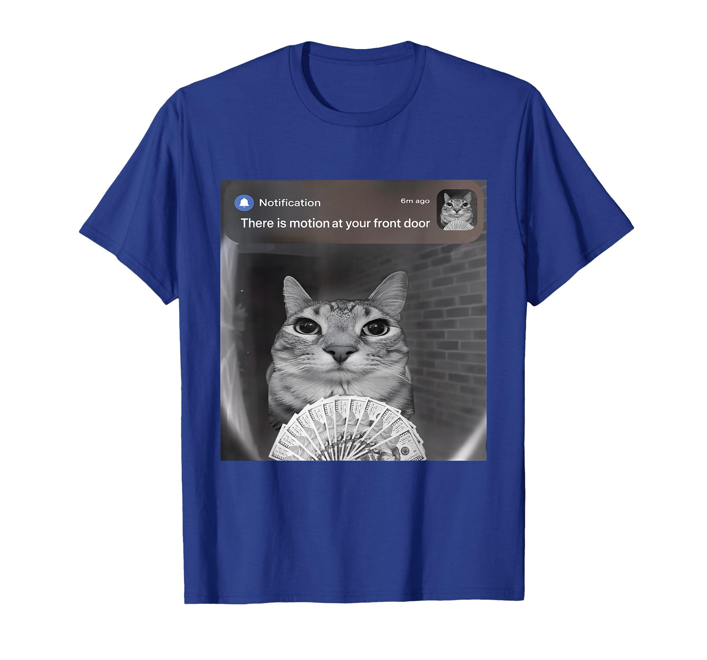 There is Motion at Your Front Door Funny Cat Motion Meme T-Shirt