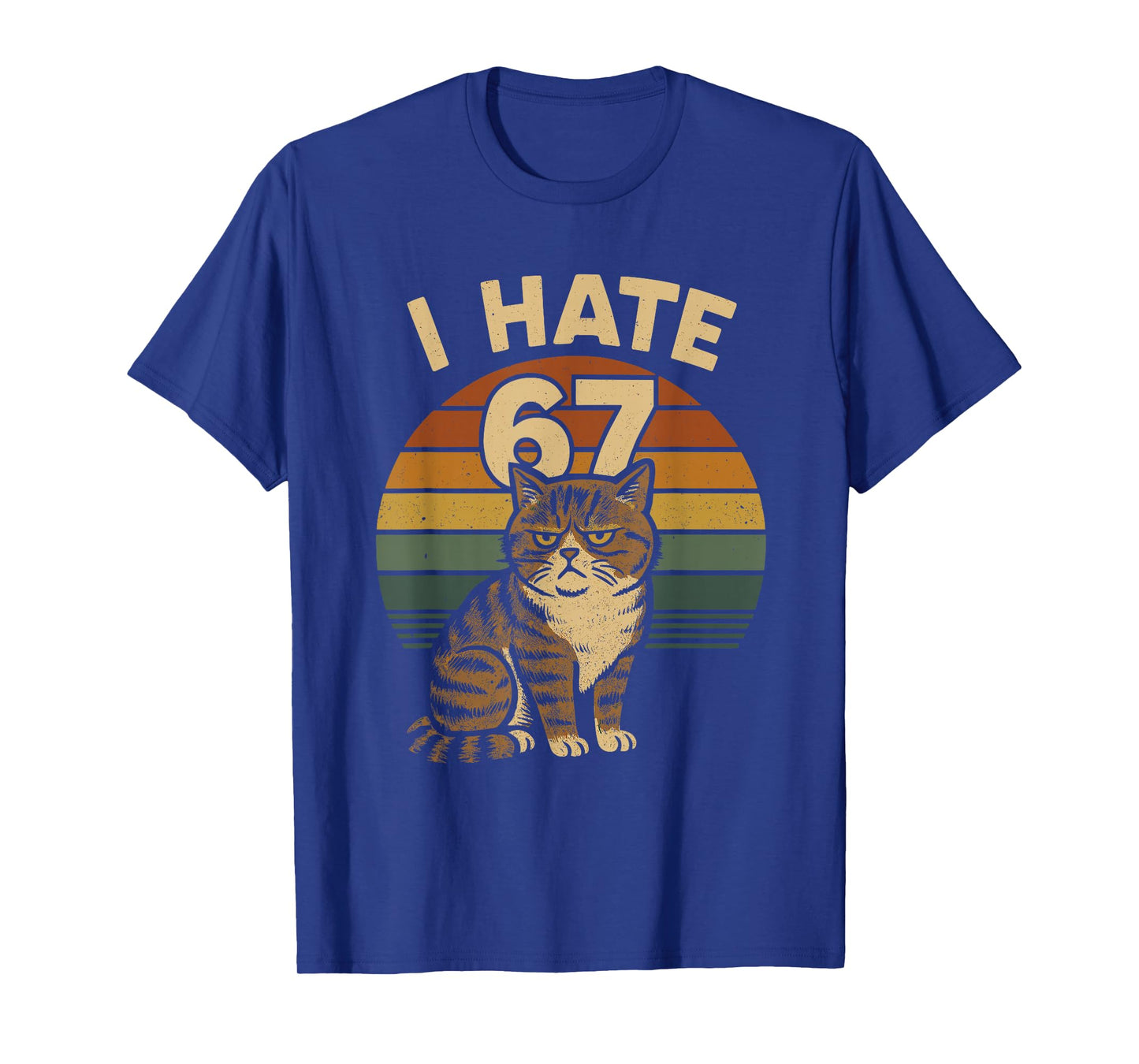 I Hate 67 Meme Cat Funny Internet Trend Humor Brainrot Youth T-Shirt