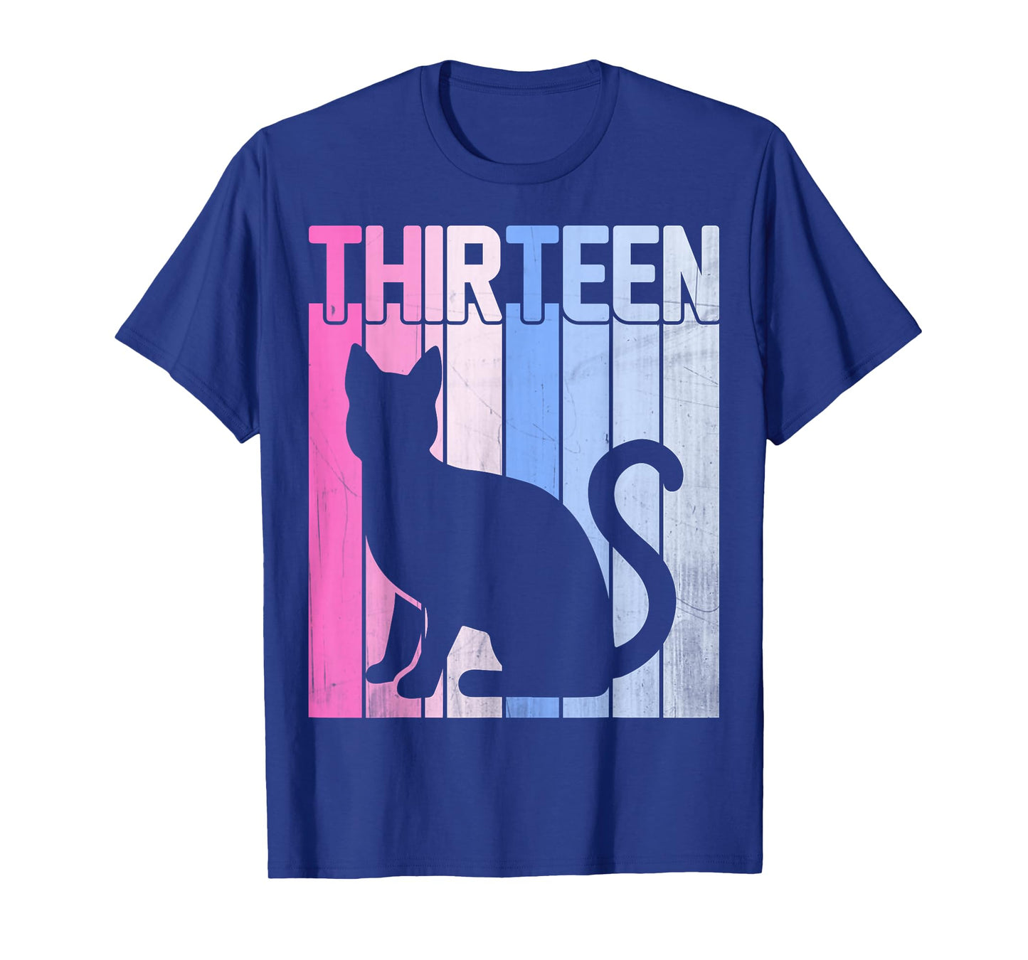 Cute Pet Cat Lover 13 Years Old Thirteen Birthday T-Shirt