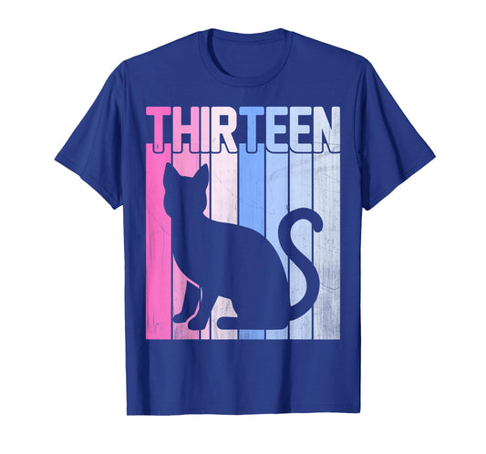 Cute Pet Cat Lover 13 Years Old Thirteen Birthday T-Shirt