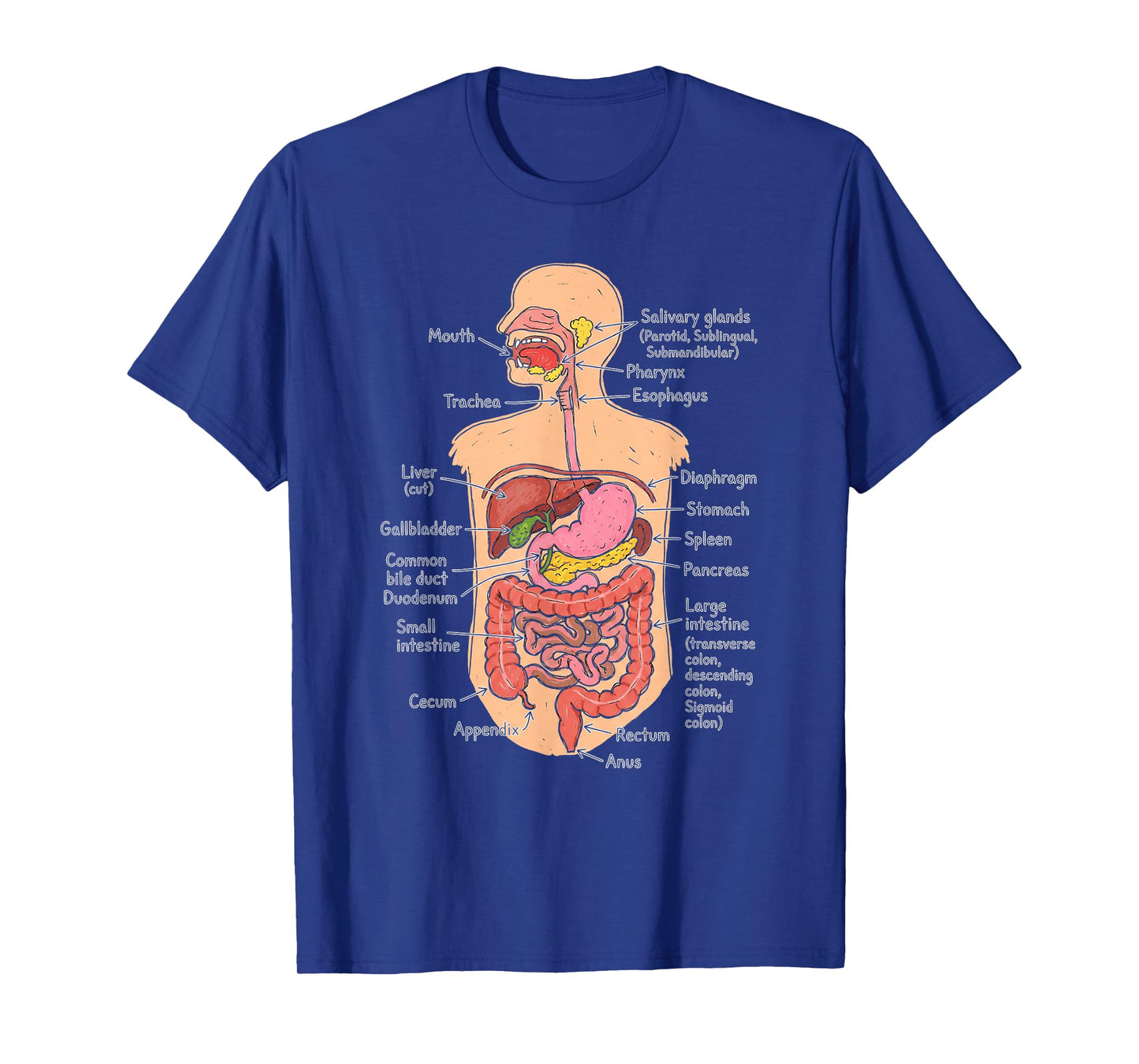Human Digestive System Anatomy Chart Biology Diagram T-Shirt