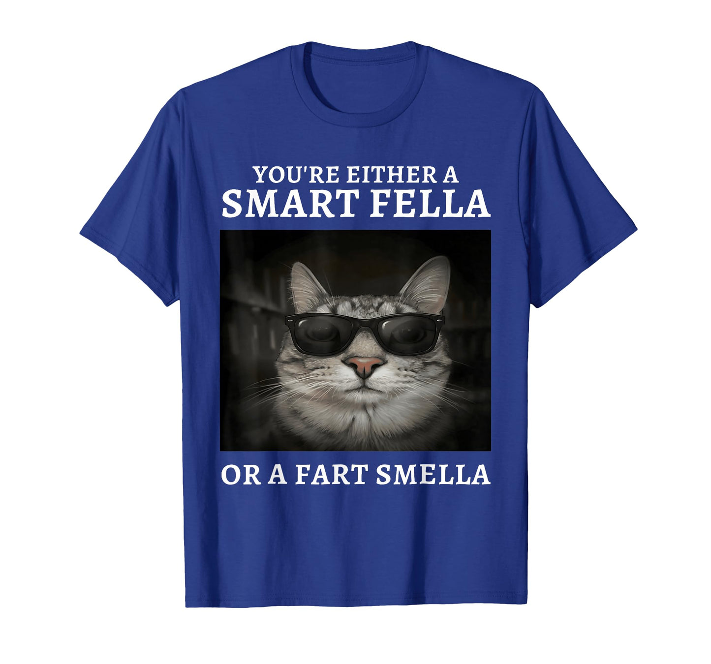 You're Either A Smart Fella Or A Fart Smella Funny Cat Meme T-Shirt