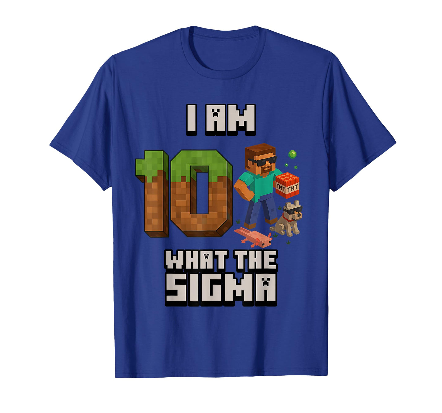 10th Birthday What The Sigma Pixel 10 Bday Gamer Boys Kids T-Shirt