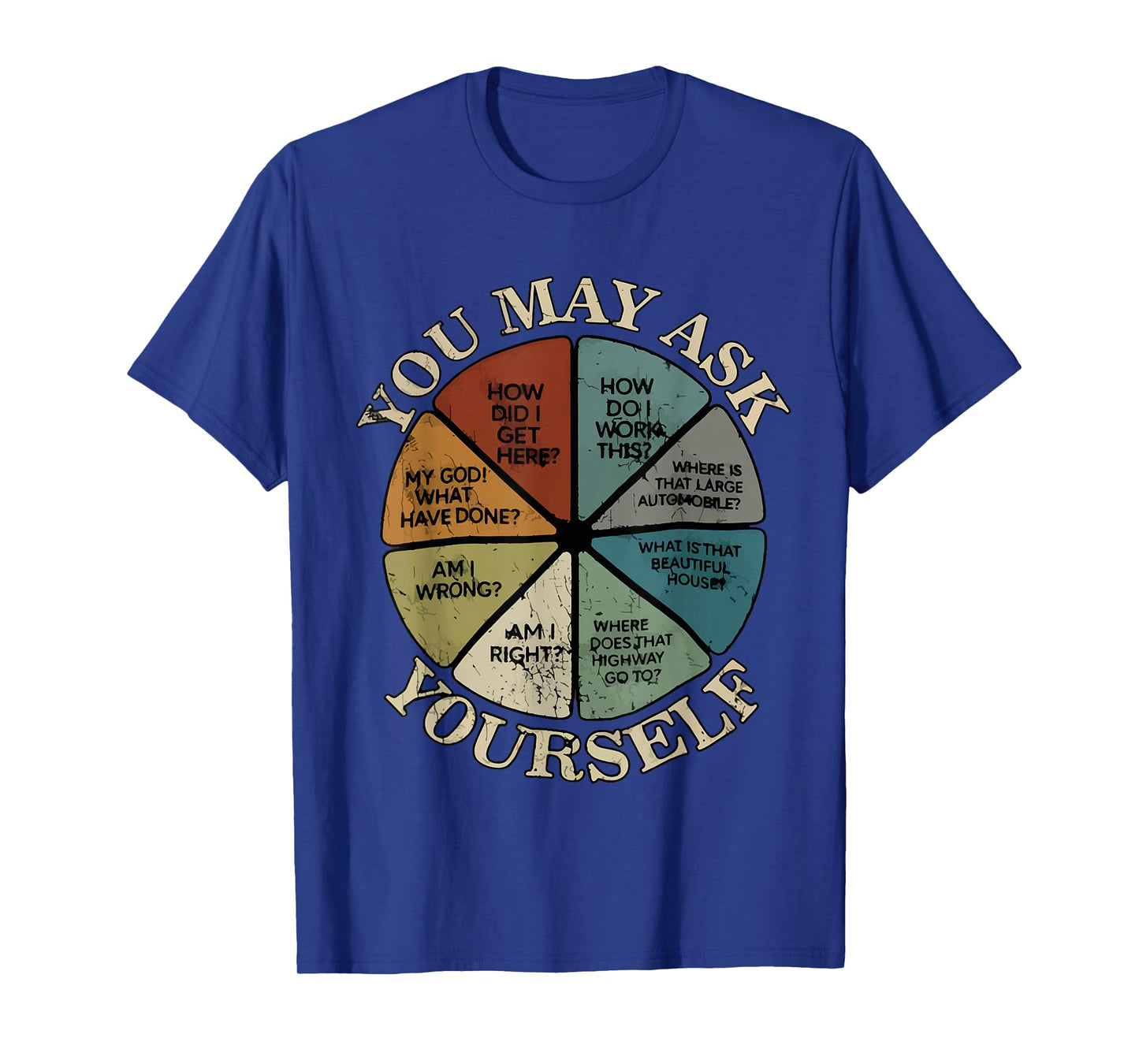 Vintage You May Ask Yourself Once in A Lifetime Pie Chart T-Shirt