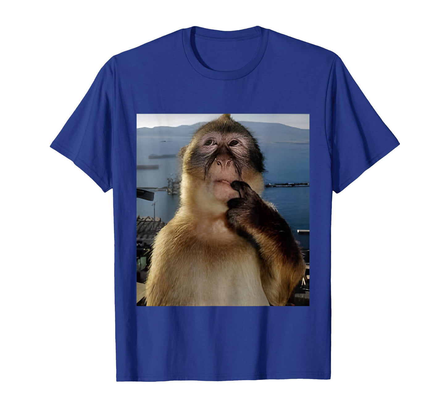 Funny Thinking Monkey Meme T-Shirt Curious Ape Brainrot Gift T-Shirt