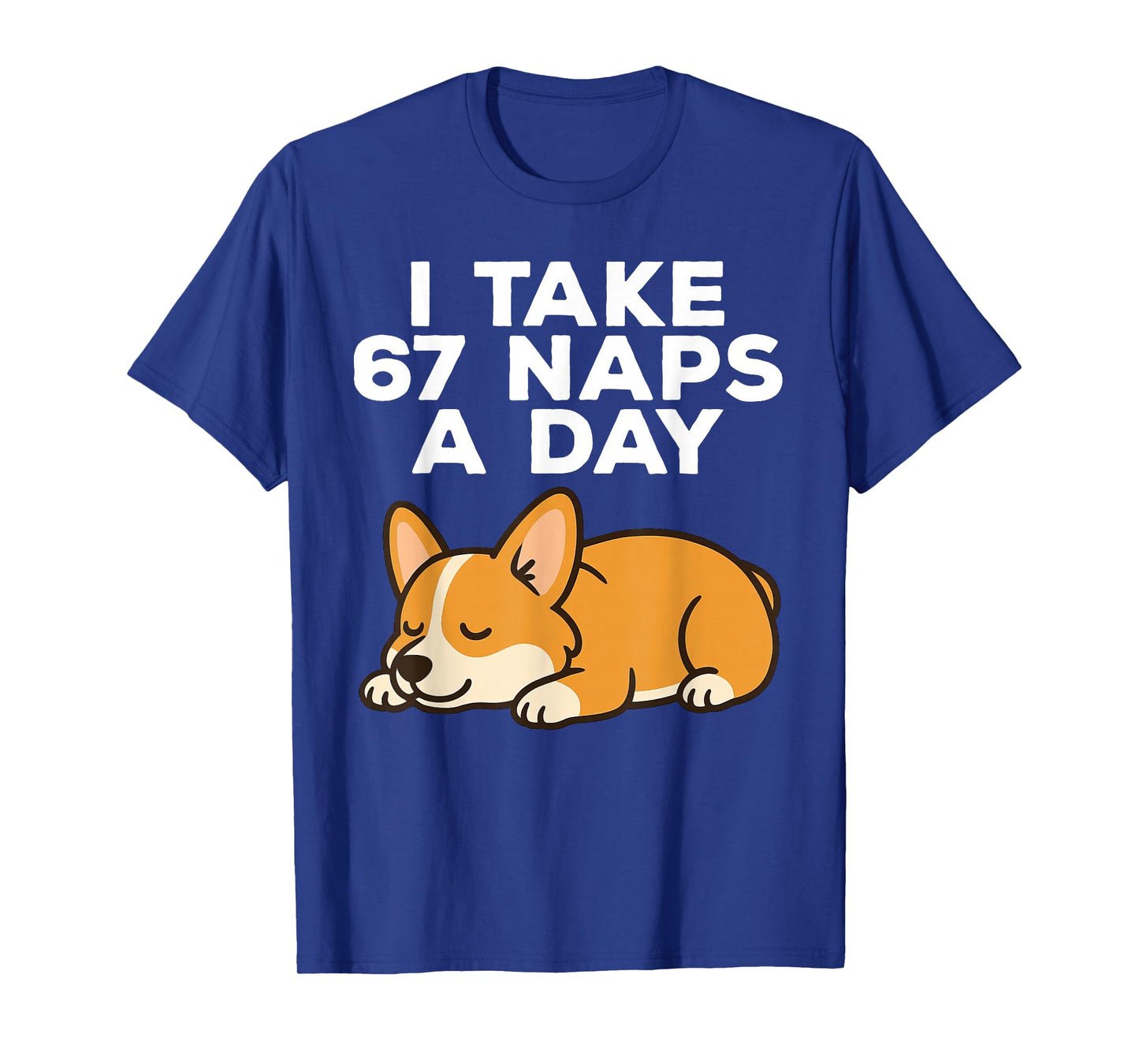 I Take 67 Naps A Day Funny Dog Corgi Six Seven Meme T-Shirt