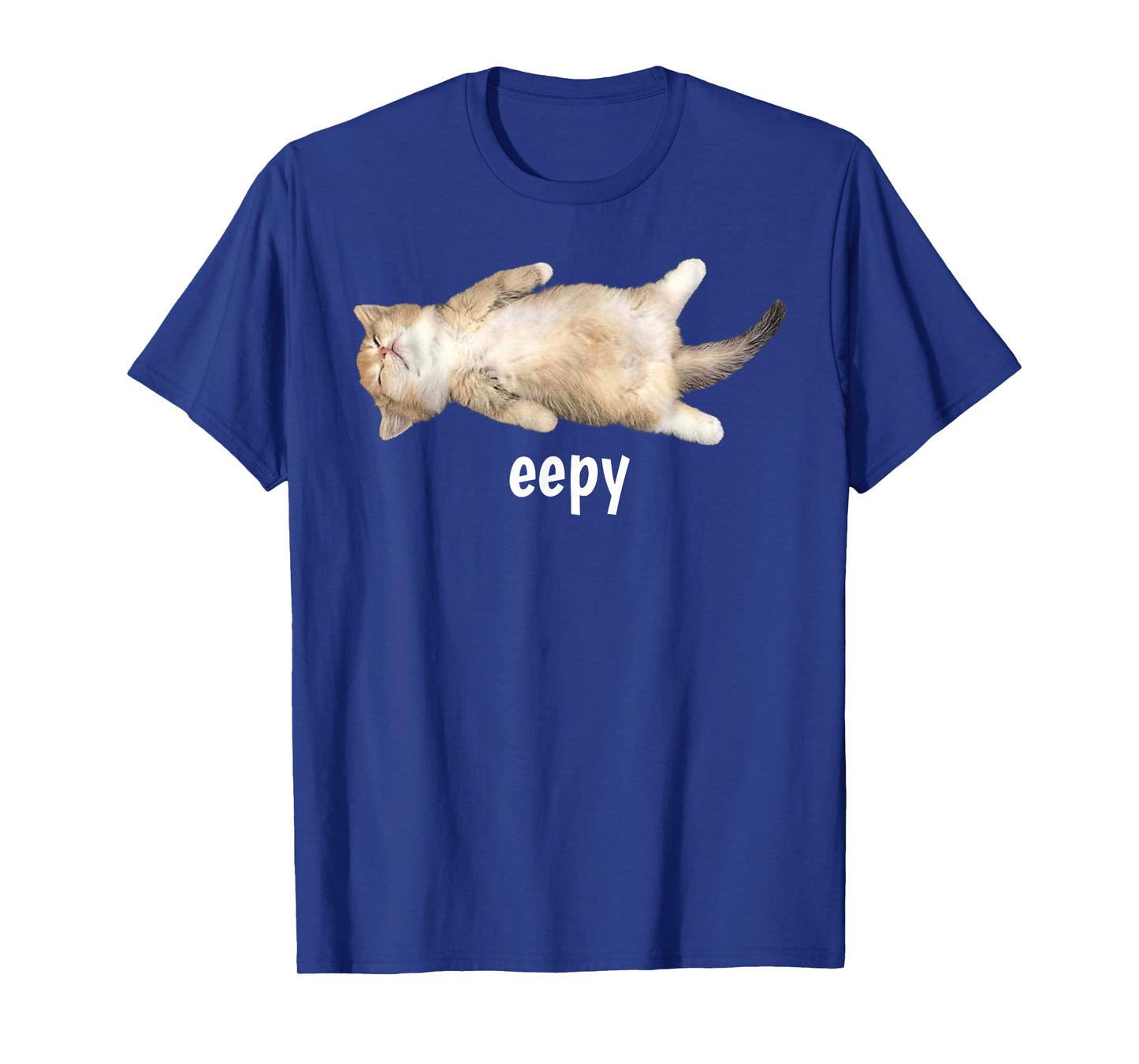 Eepy Cat Meme Funny Sleepy Cat Viral Gen Z Sarcastic Humor T-Shirt