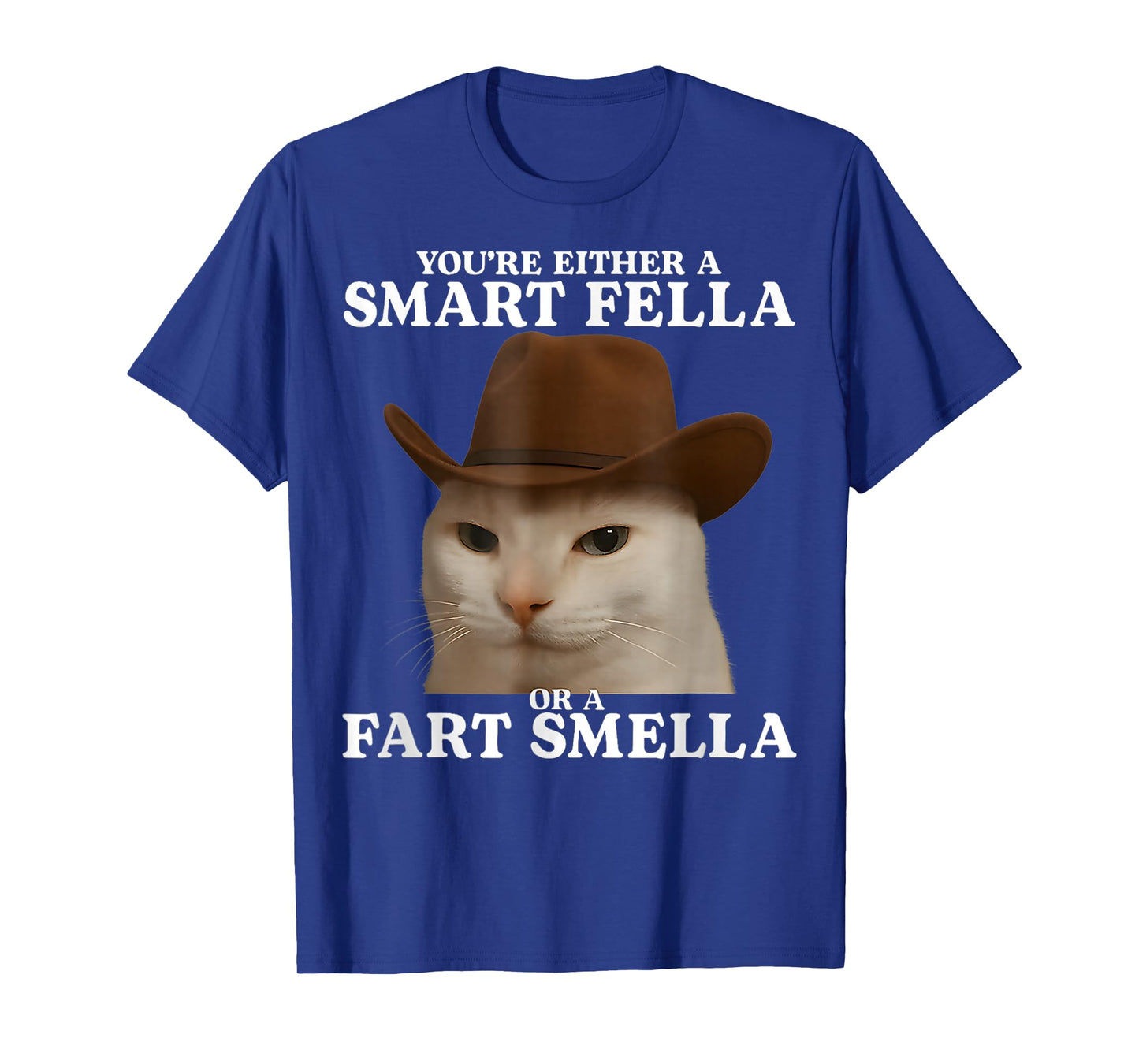 You're Either a Smart Fella or a Fart Smella Funny Cat Meme T-Shirt