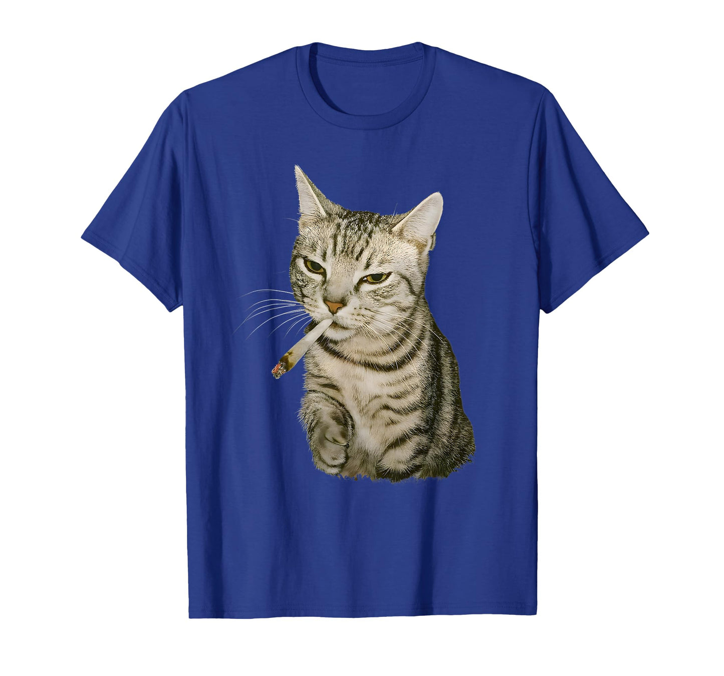 Funny Smoking Cat, Cigarette Kitty Gen Z Meme, Cat Lover T-Shirt