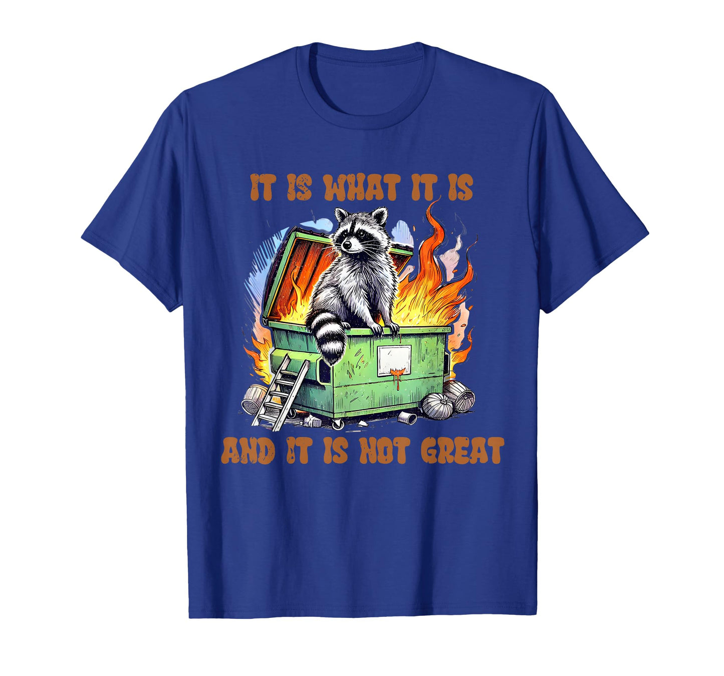 It is What Not Great Raccoon Mental Health Lil Dumpster Meme T-Shirt