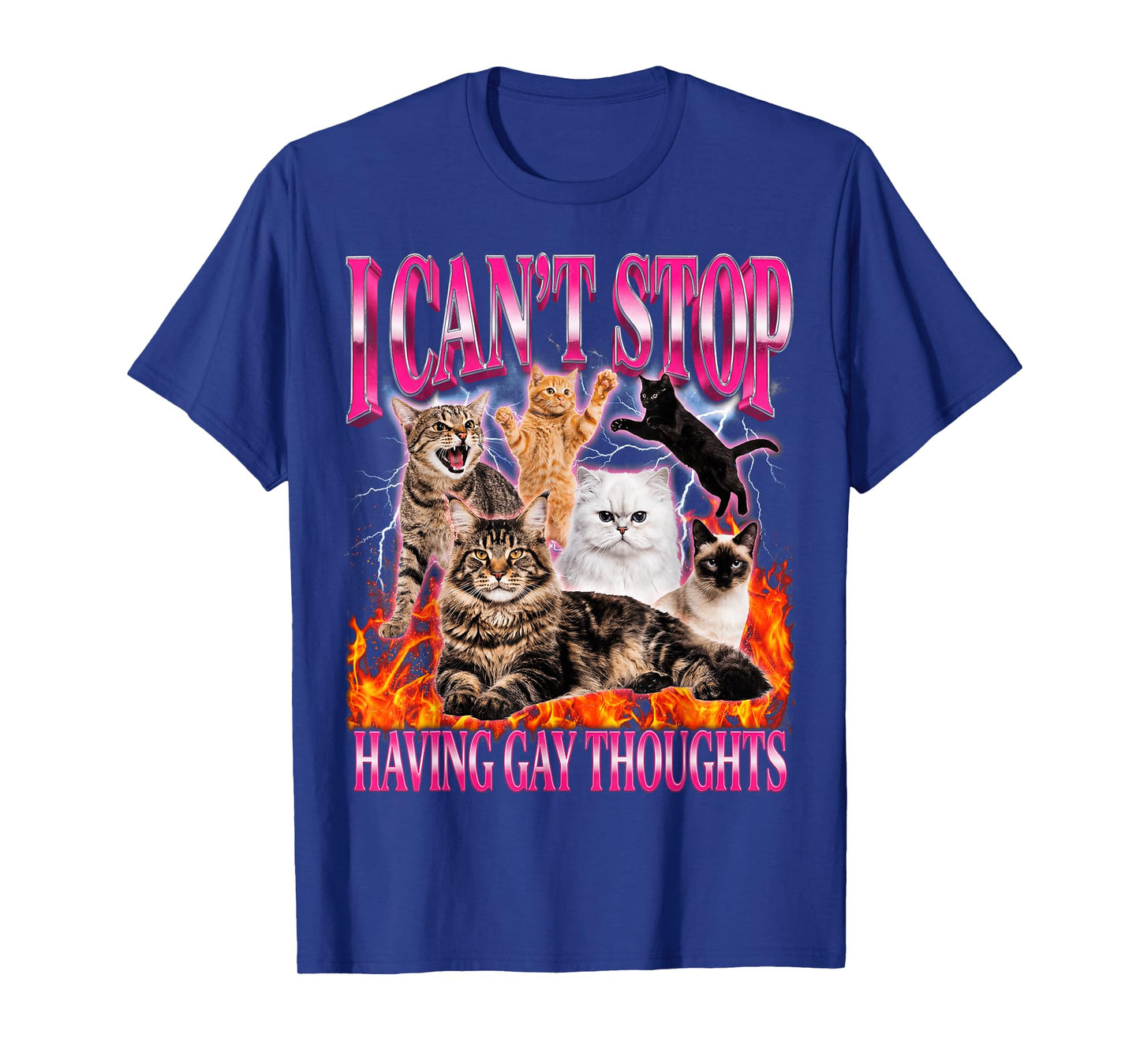 Funny Cat I Can't Stop Having Gay Thoughts LGBTQ Pride T-Shirt