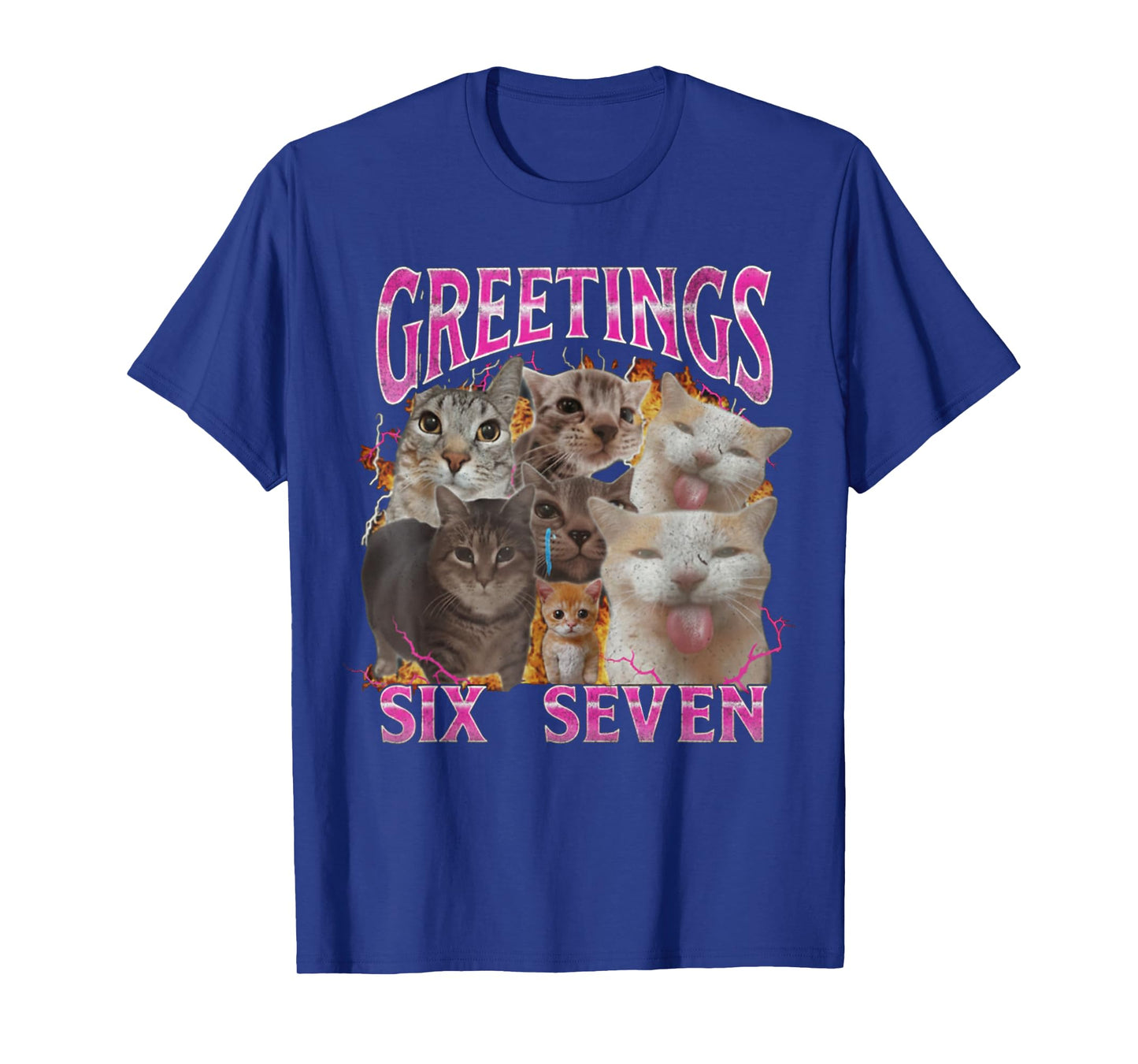 Greetings 67 Funny Cat Meme Funny Six Seven Meme T-Shirt
