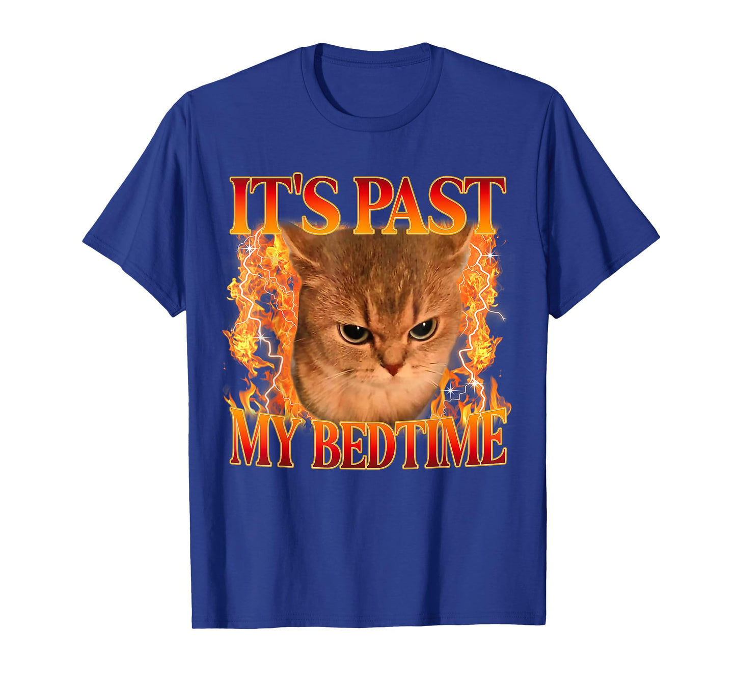 It's Past My Bedtime Funny Cat Meme Animals Humor Quote T-Shirt