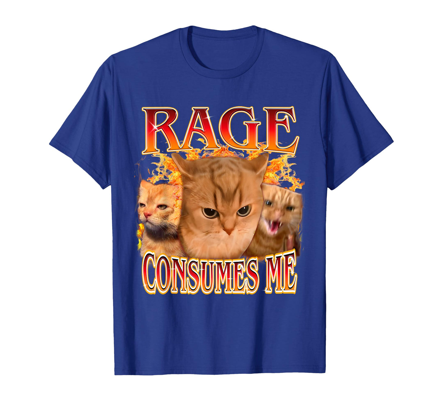 Funny Rage Consumes Me Silly Staring Cat Meme Women Men T-Shirt