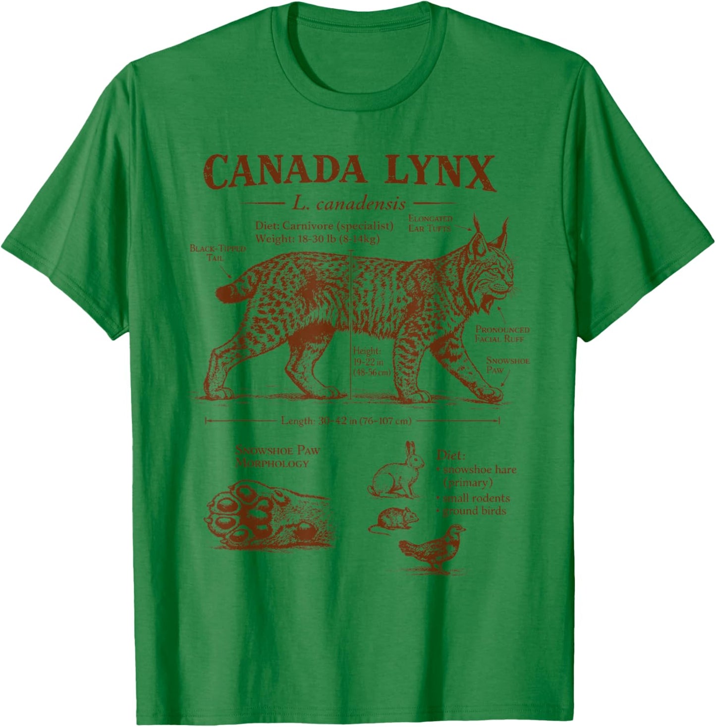 Canada Lynx Anatomy Wildlife Wild Animal Lover Zoologist T-Shirt - T-Shirt | Irish Green