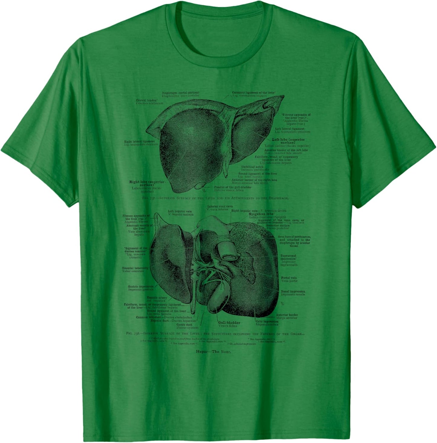 Human Liver Vintage Anatomy Anatomical Liver T-Shirt - T-Shirt | Irish Green