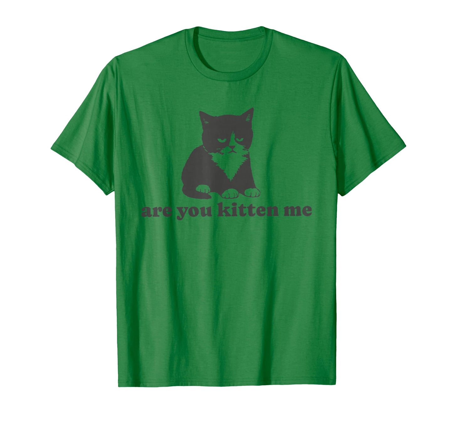 are You Kitten me T-Shirt
