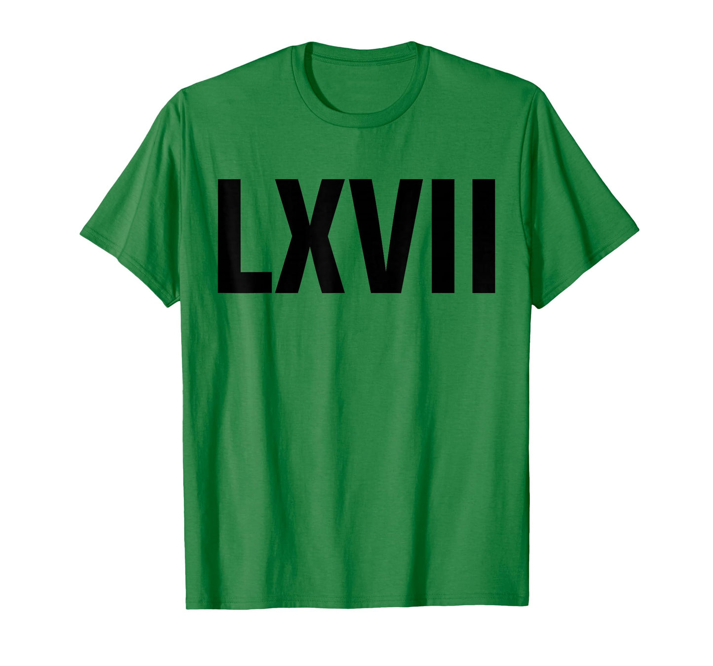 Roman 67 Year Old Funny Teacher 67th Birthday LXVII Meme 6 7 T-Shirt
